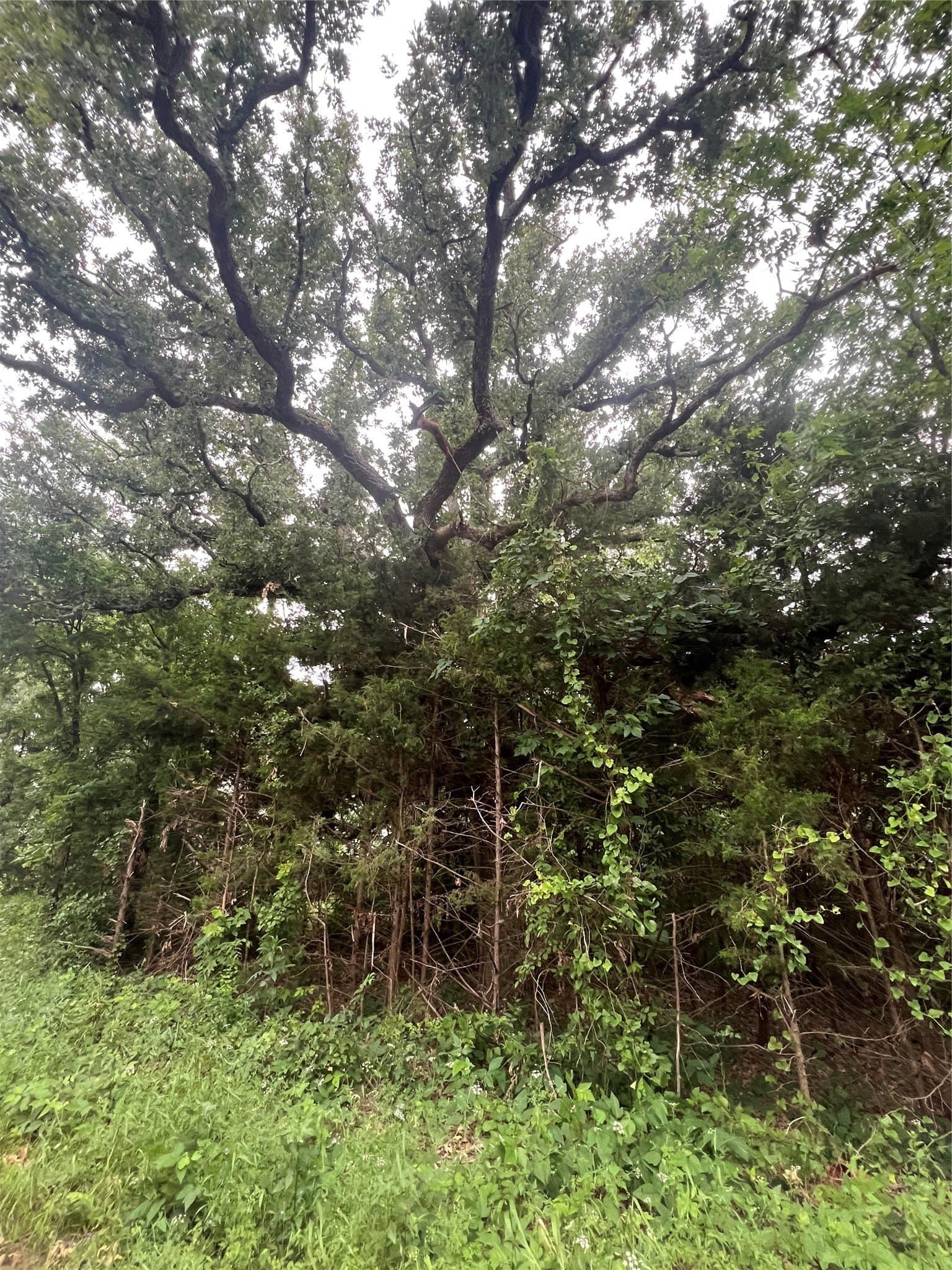 1.02 acres in Lamar County - photo 2