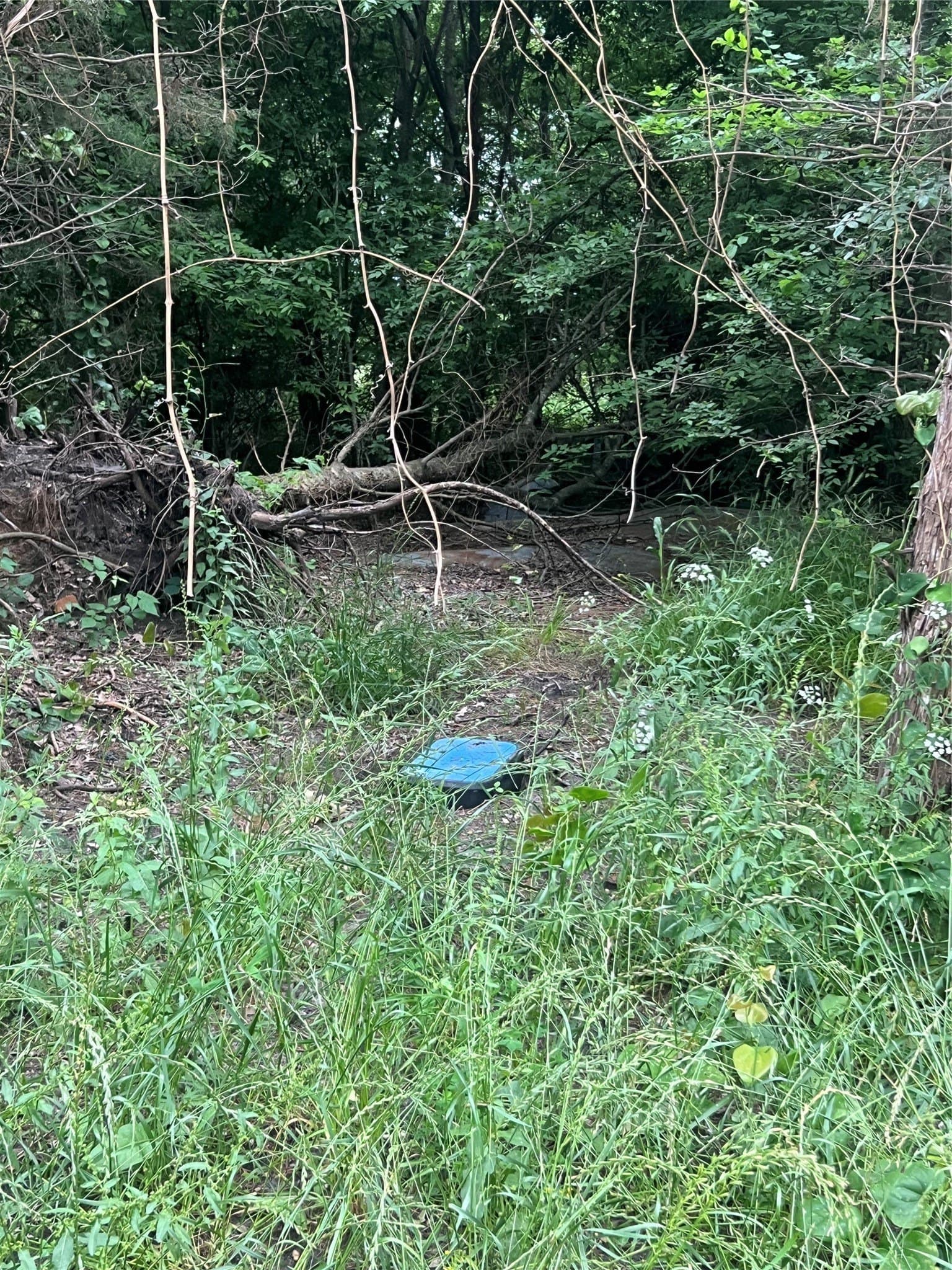 1.02 acres in Lamar County