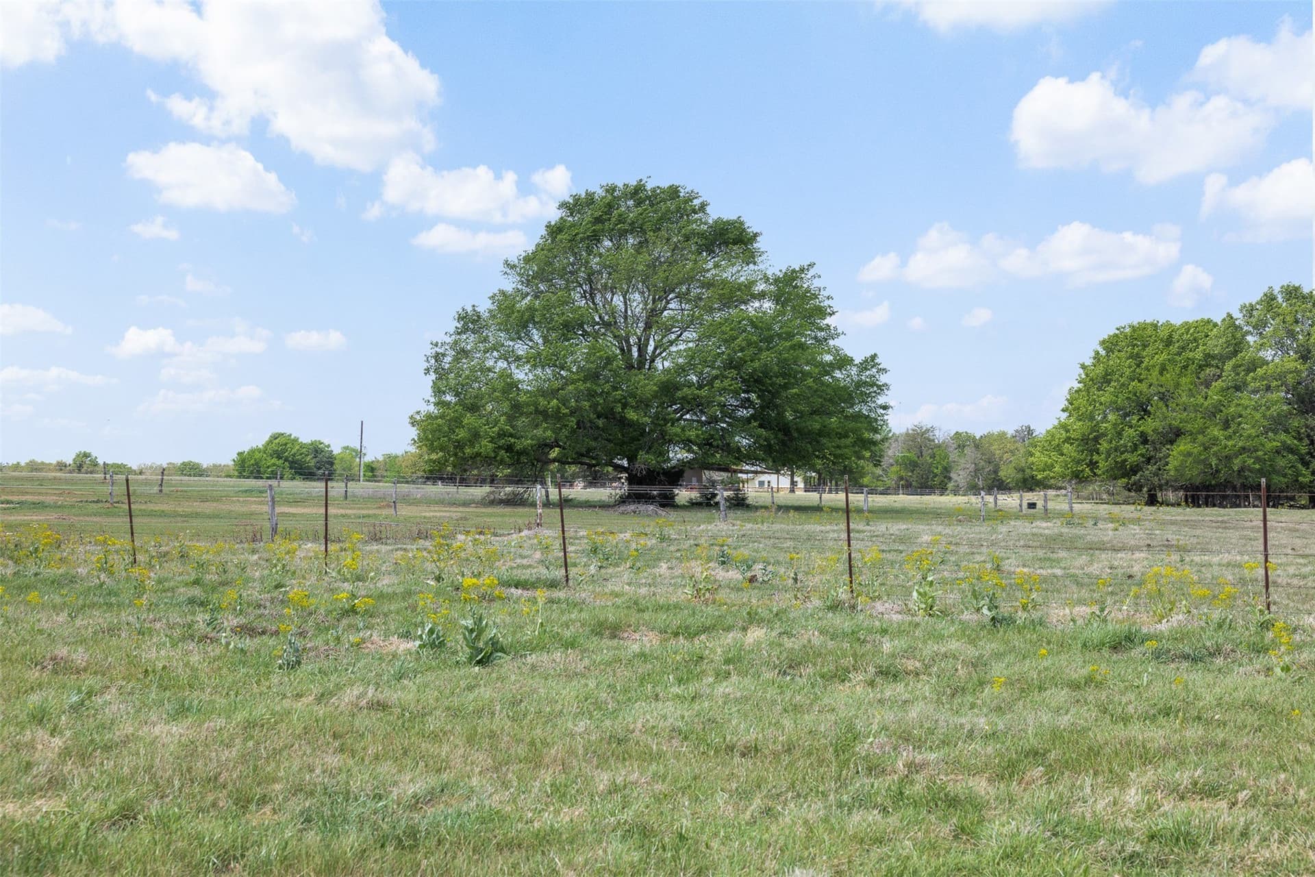 48.52 acres in Falls County - photo 35