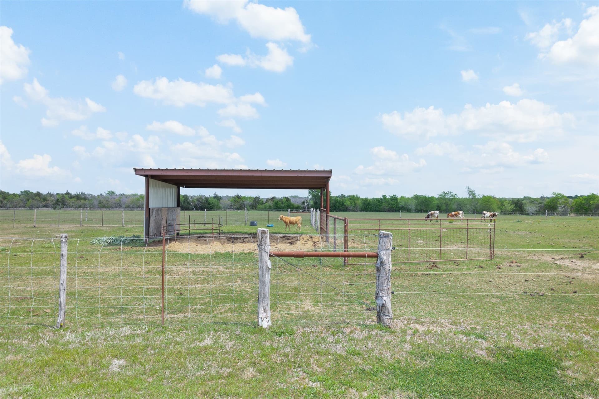 48.52 acres in Falls County - photo 31