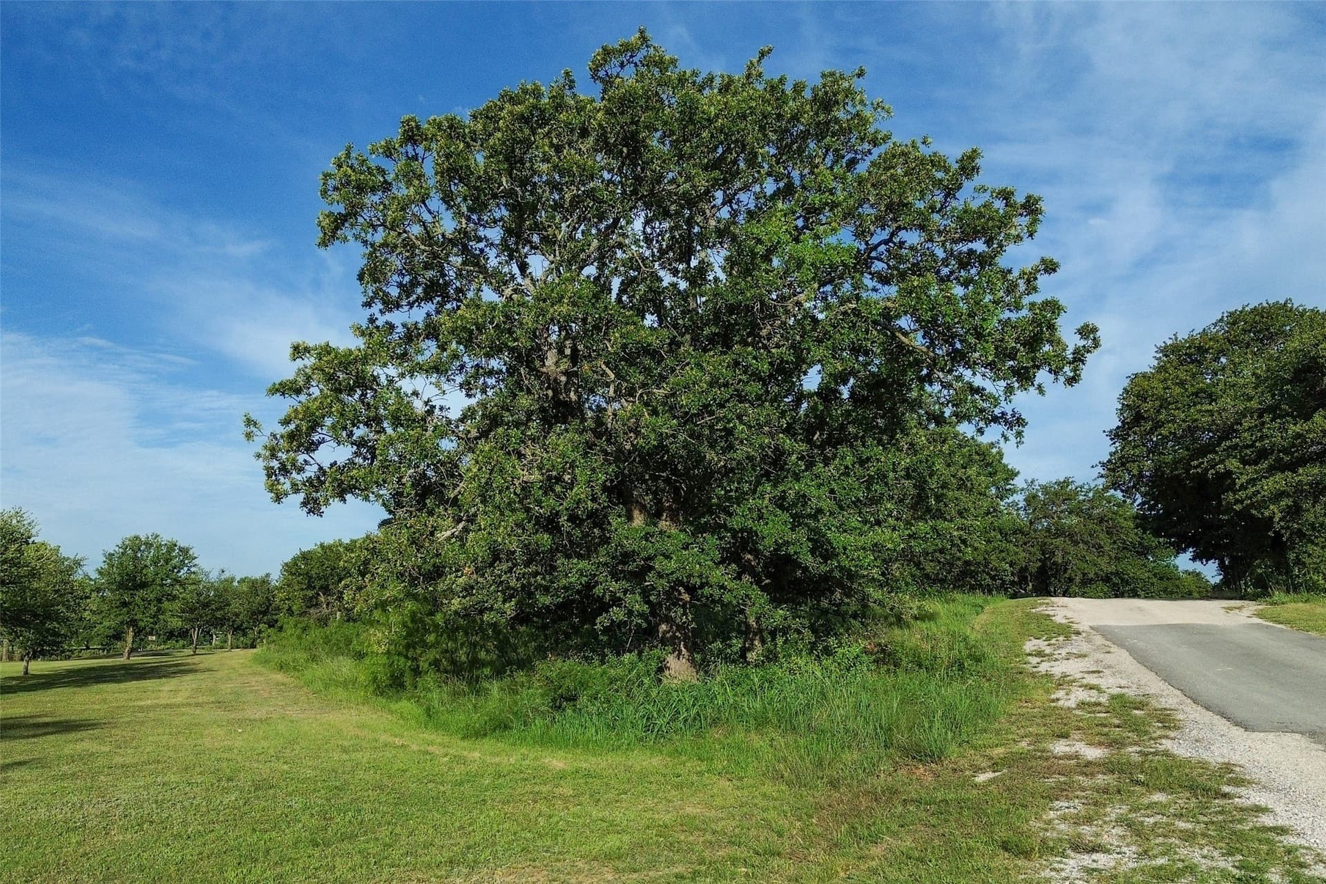 0.87 acres in Eastland County - photo 9