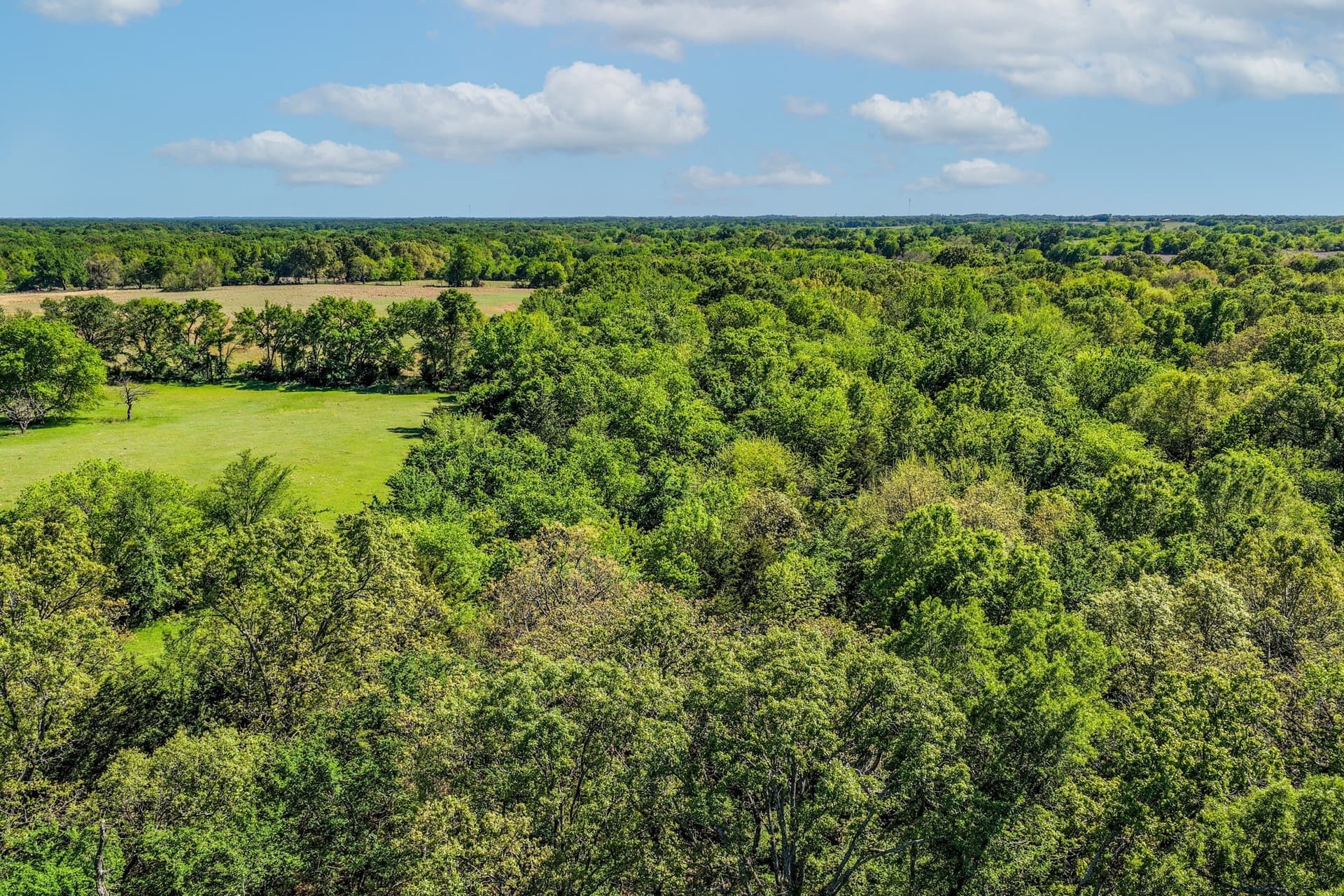 88 acres in Hopkins County featured view
