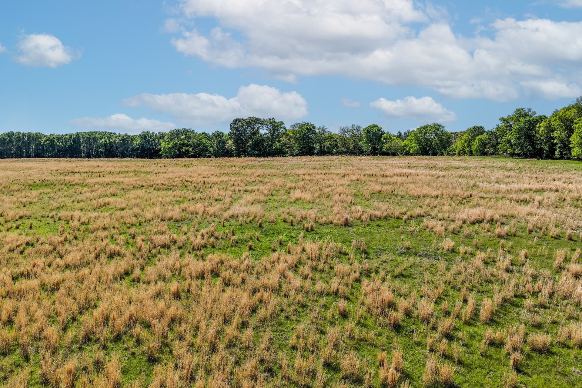 88 acres in Hopkins County gallery image 4