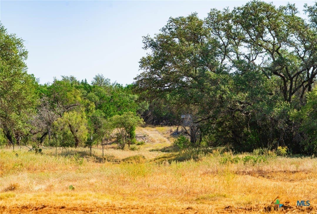 40.05 acres in Travis County - photo 6
