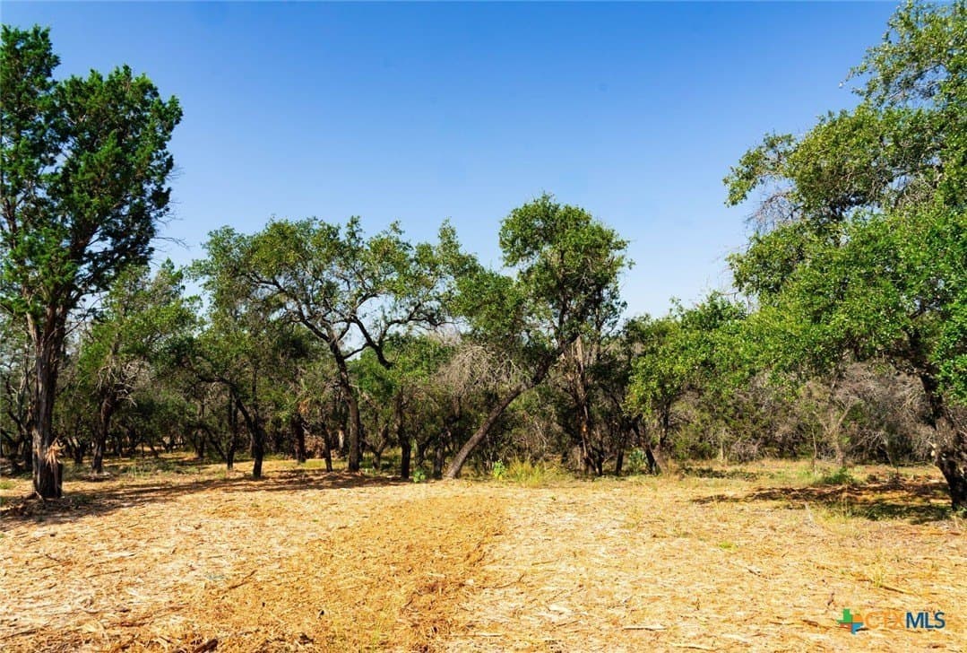 40.05 acres in Travis County - photo 20
