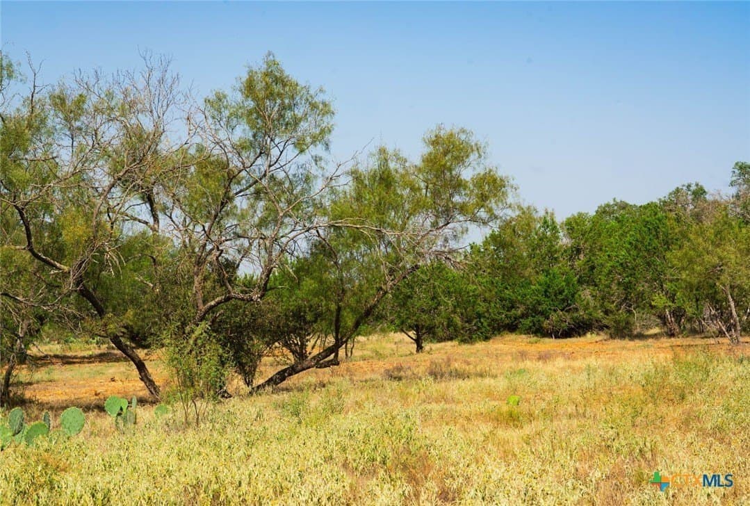 40.05 acres in Travis County - photo 14