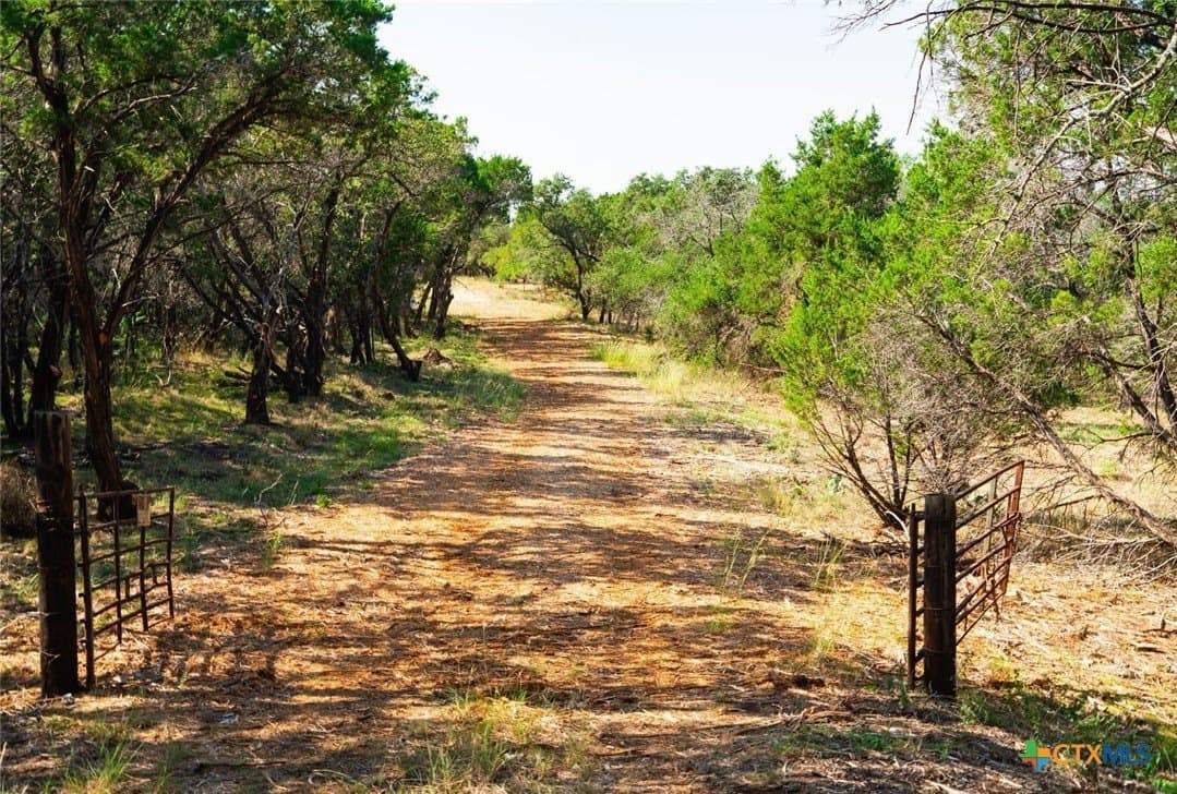 40.05 acres in Travis County - photo 23
