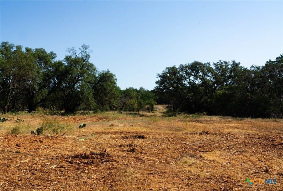 40.05 acres in Travis County - photo 17