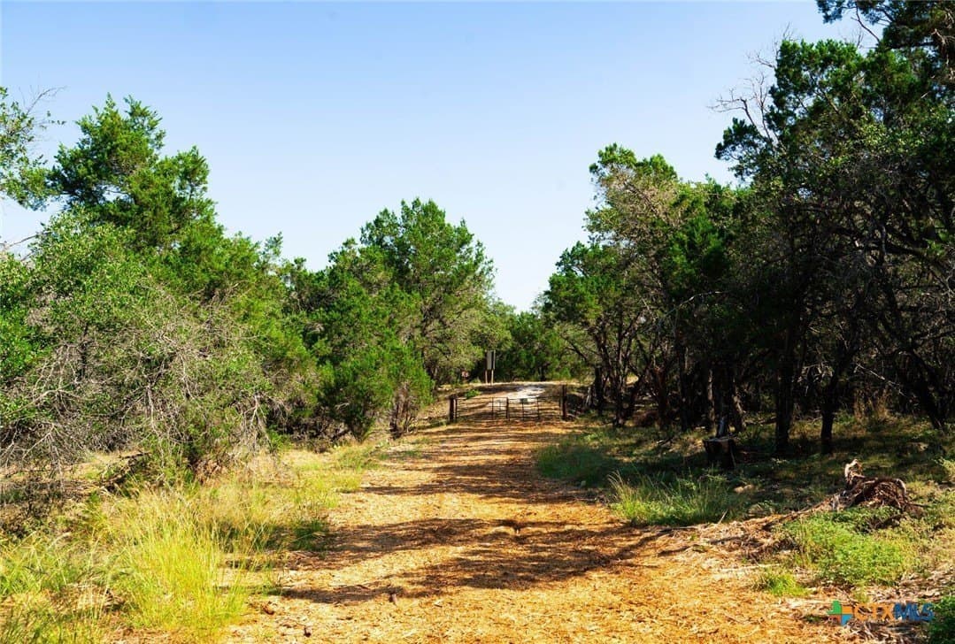 40.05 acres in Travis County - photo 22