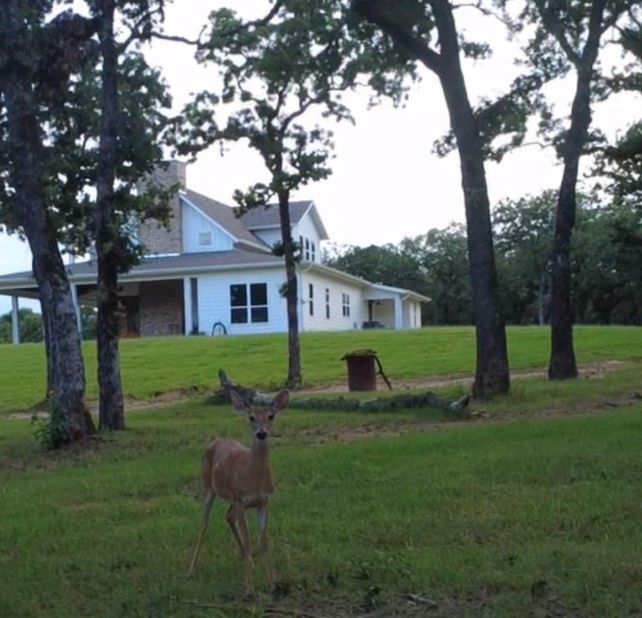 45.38 acres in Montague County - photo 38