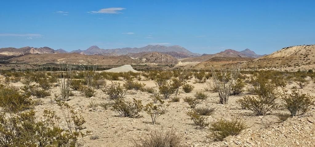 5 acres in Brewster County gallery image 3