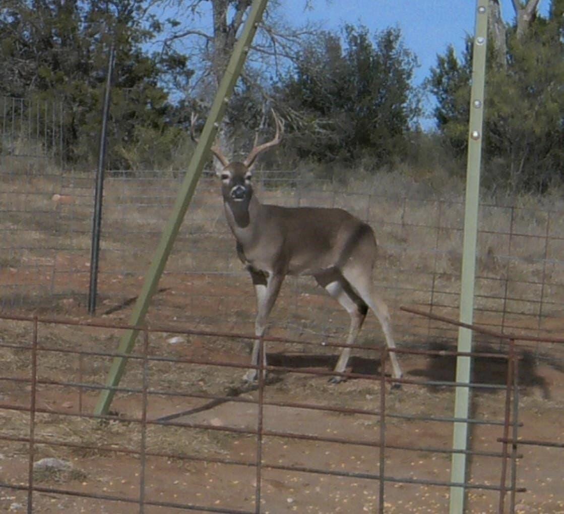 44.84 acres in Llano County - photo 22