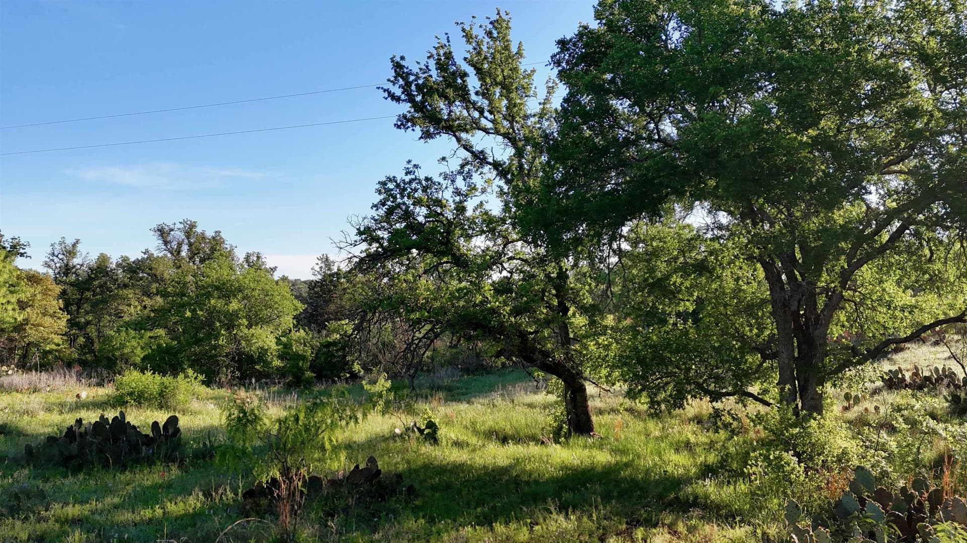 44.84 acres in Llano County - photo 10