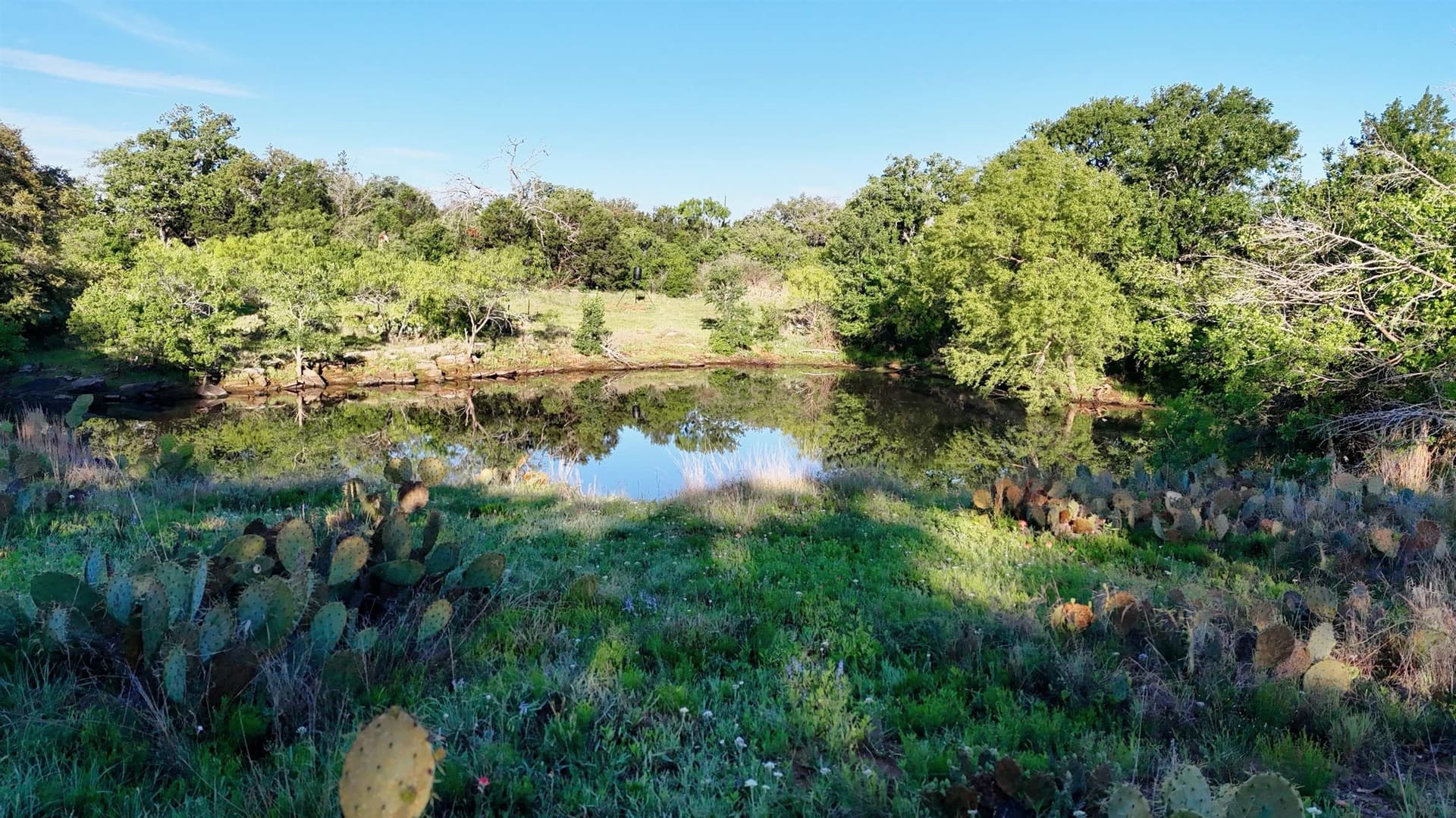 44.84 acres in Llano County - photo 15