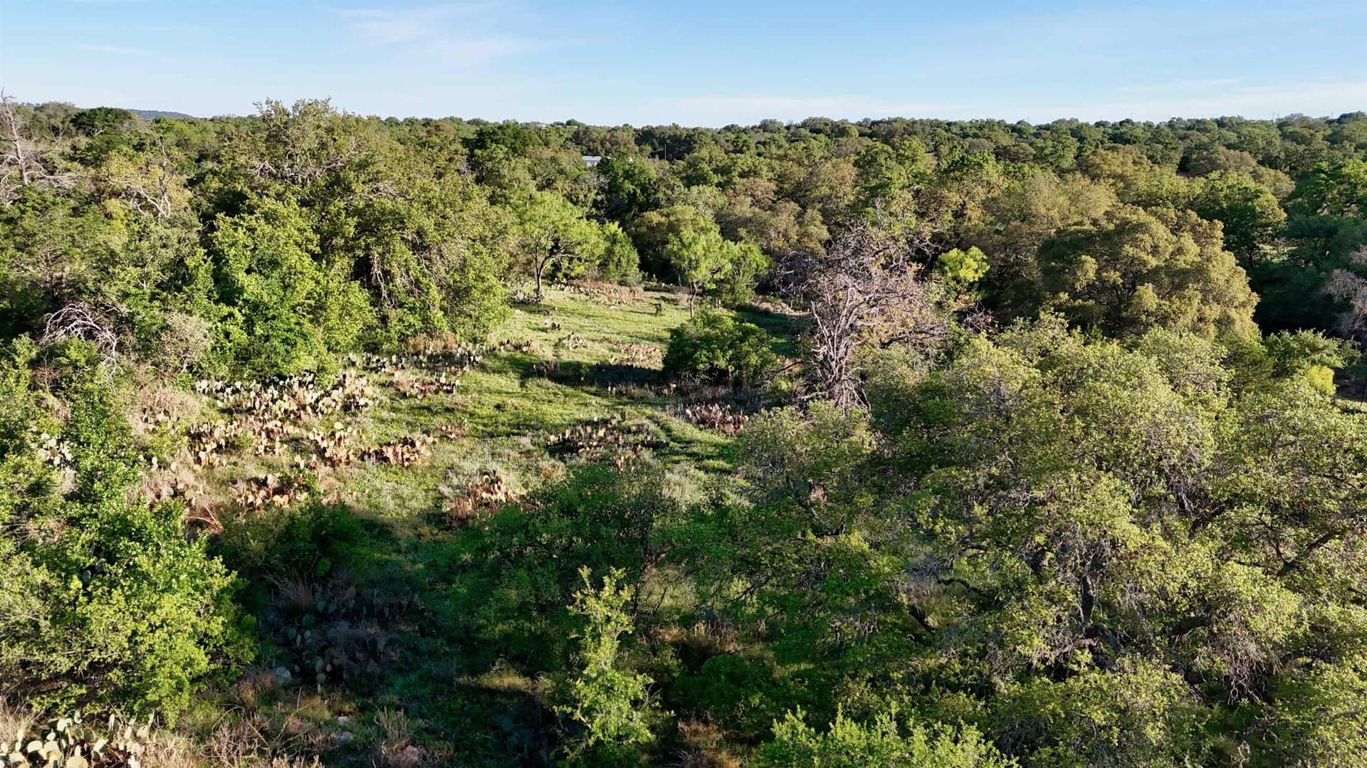44.84 acres in Llano County - photo 24