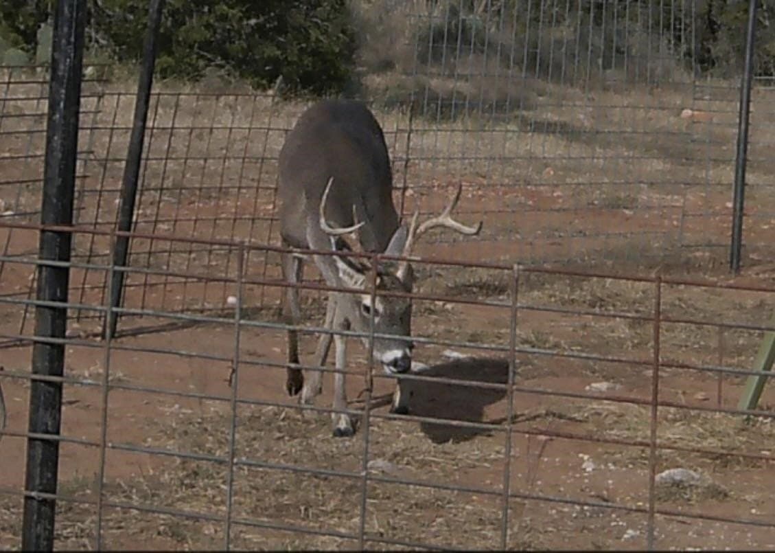 44.84 acres in Llano County - photo 23
