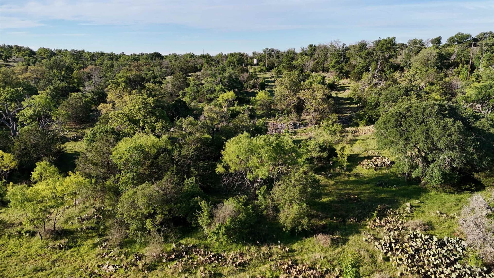 44.84 acres in Llano County - photo 29