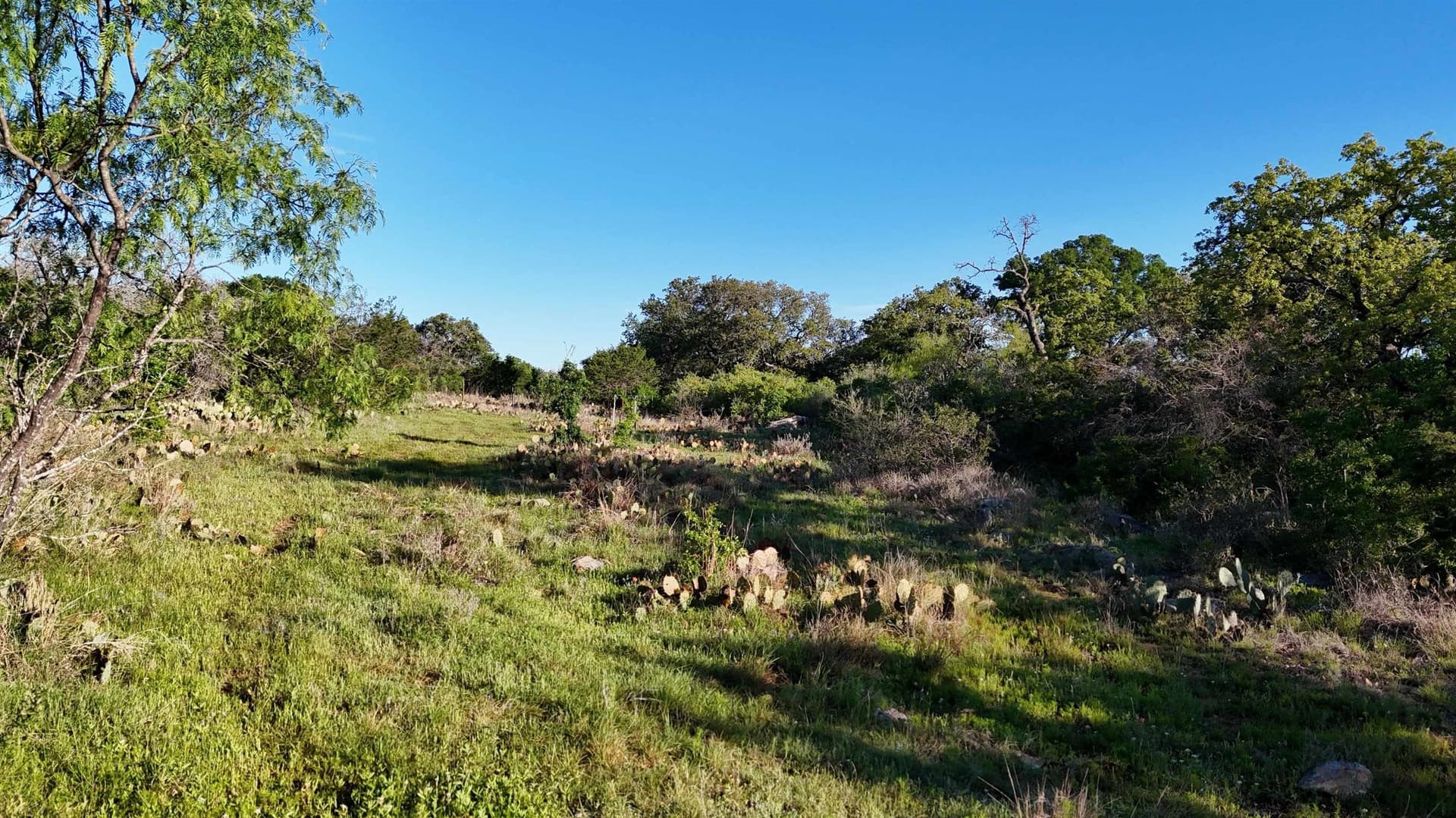 44.84 acres in Llano County - photo 30