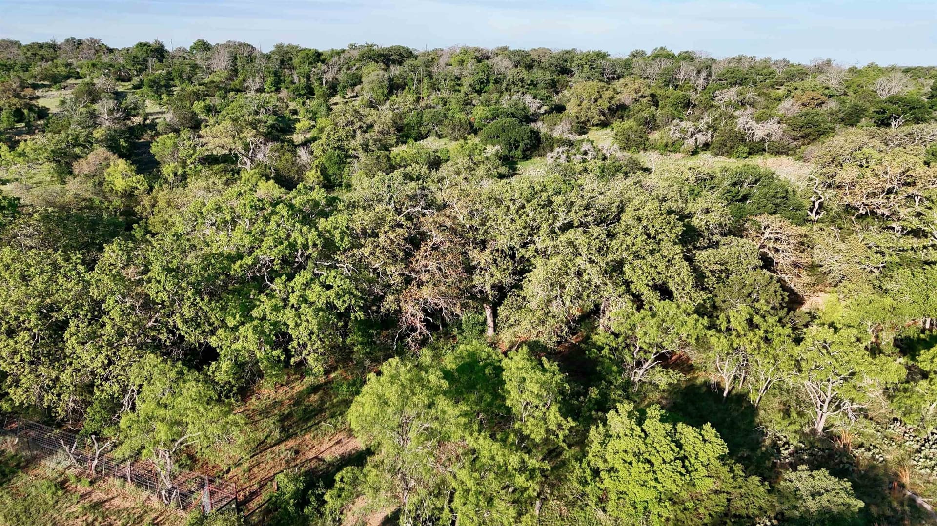 44.84 acres in Llano County - photo 11