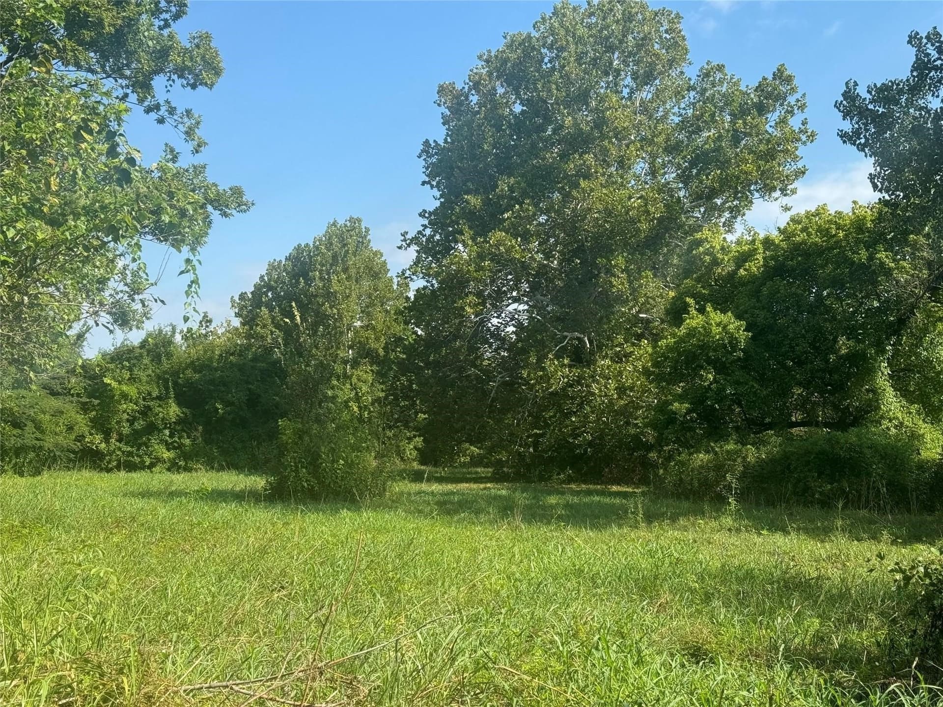 2.95 acres in Lamar County