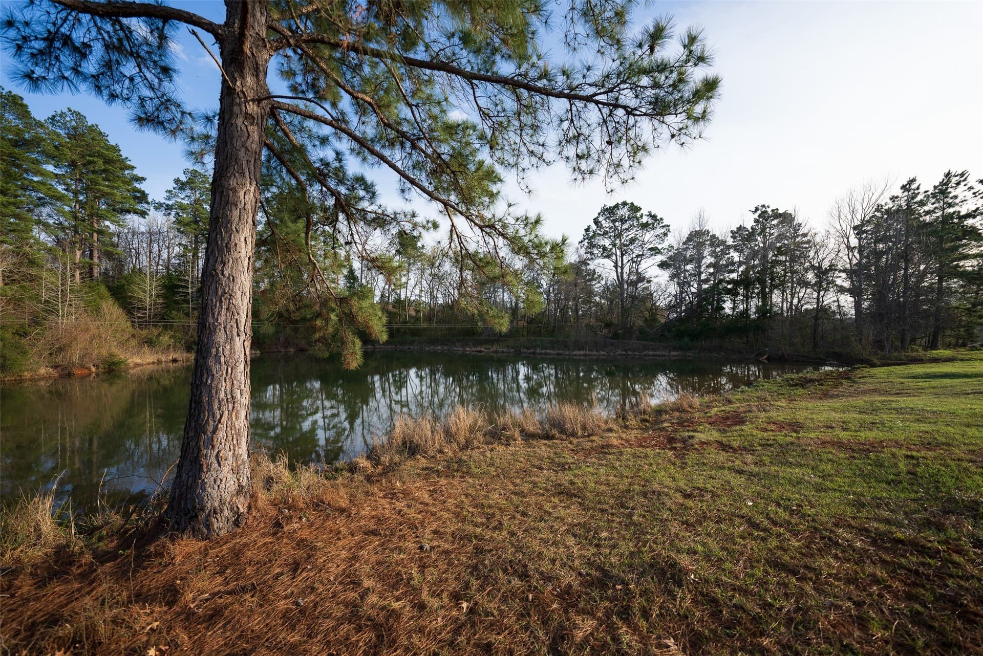 132 acres in Cherokee County - photo 17