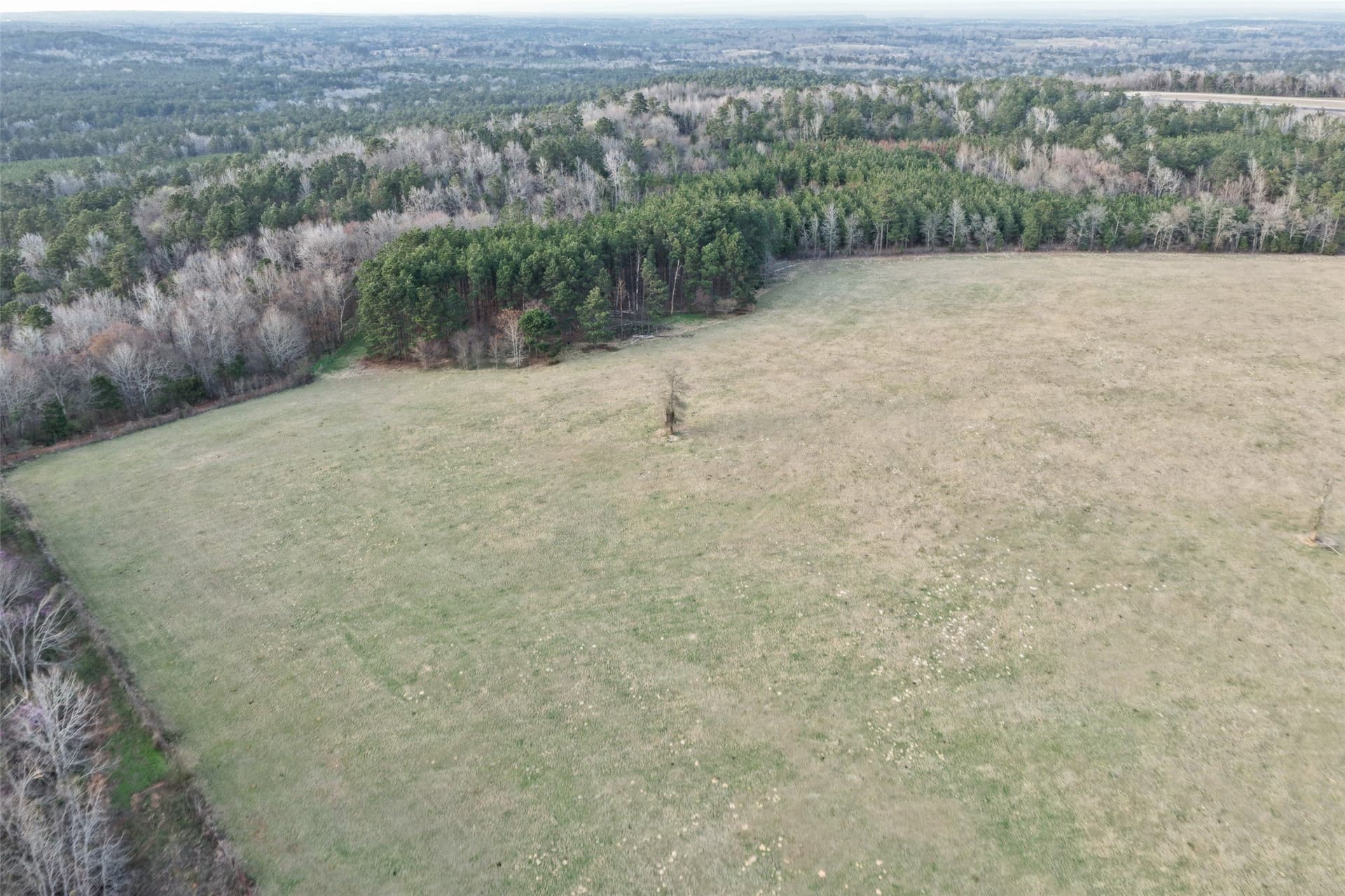 132 acres in Cherokee County - photo 11