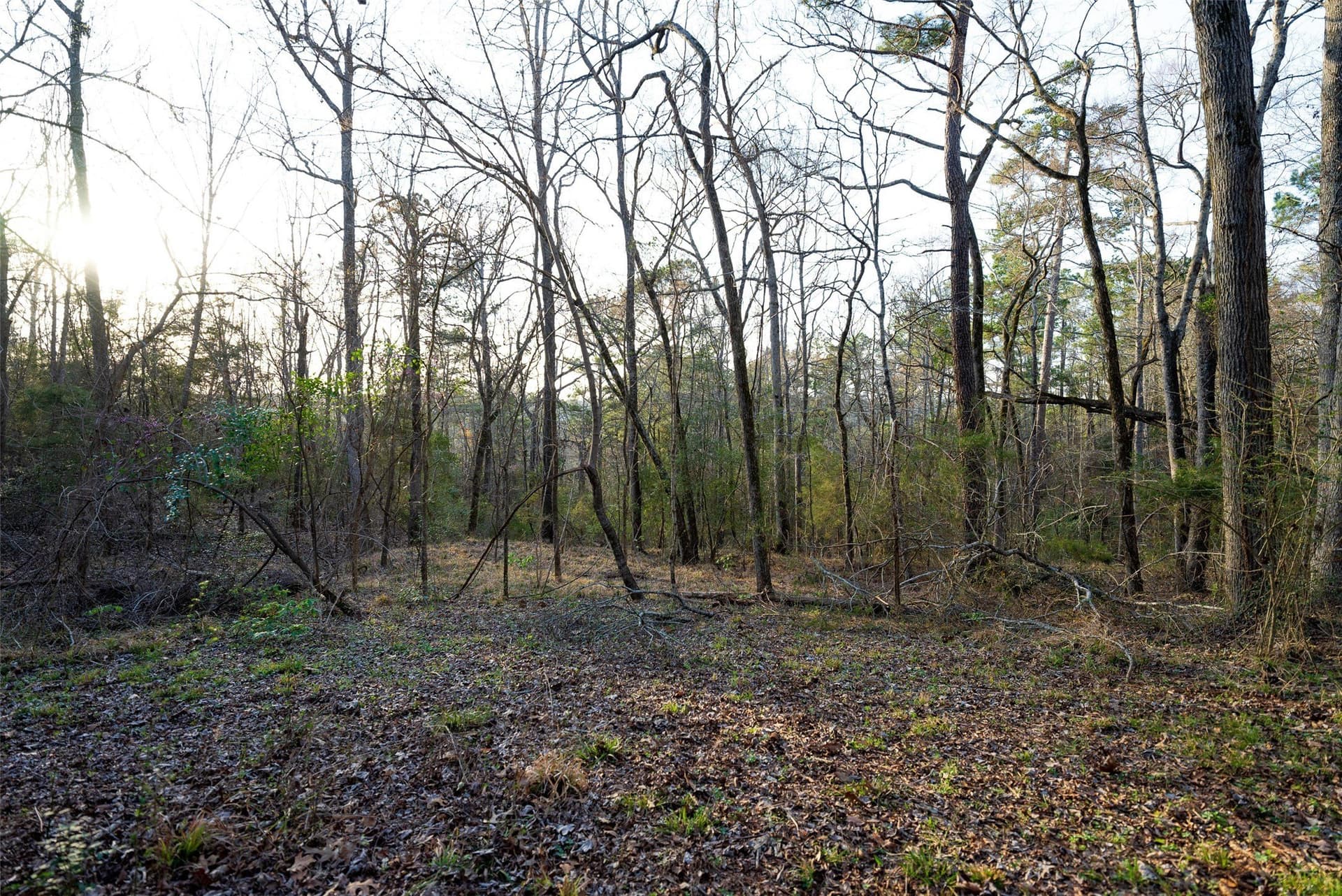132 acres in Cherokee County - photo 36