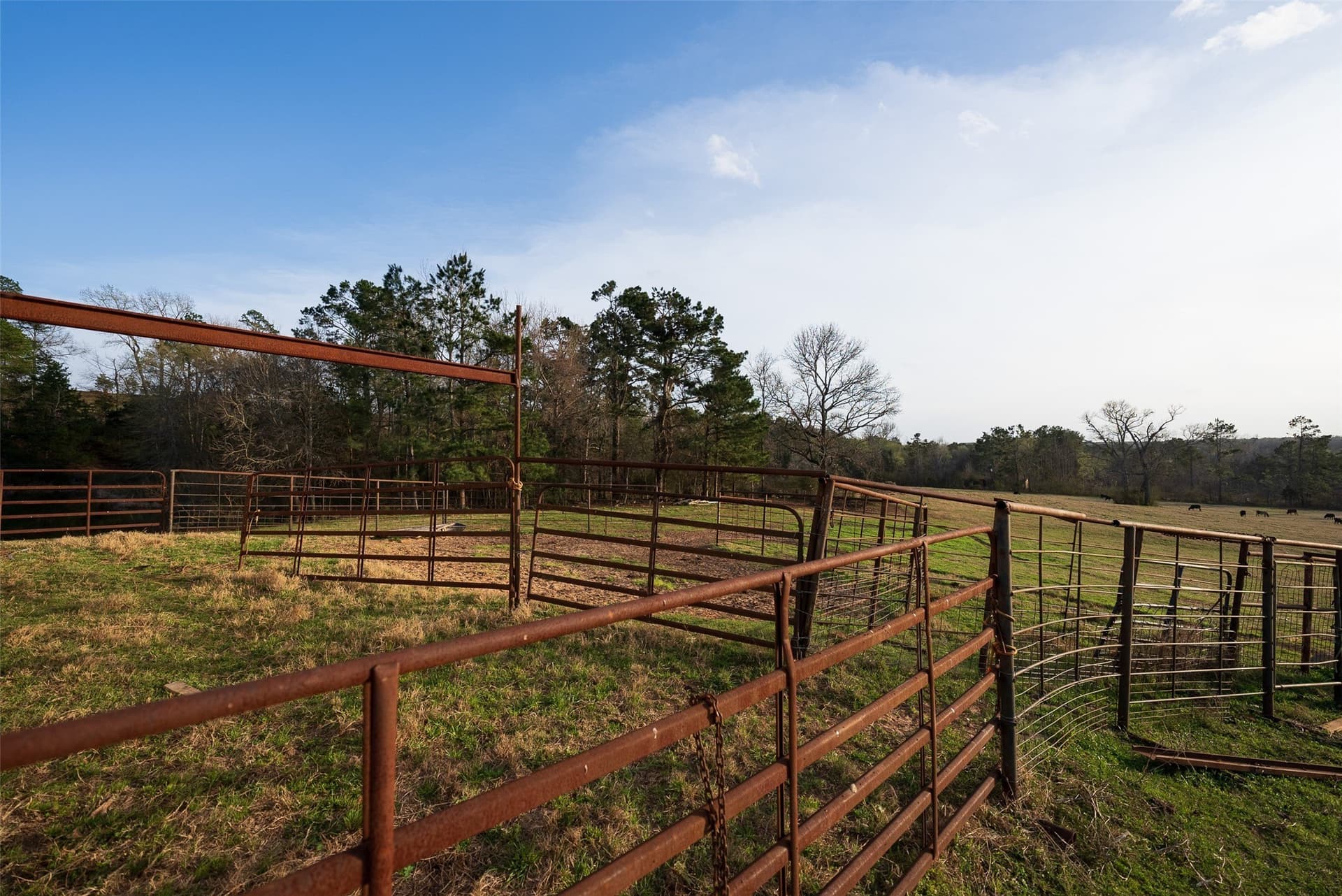 132 acres in Cherokee County - photo 26