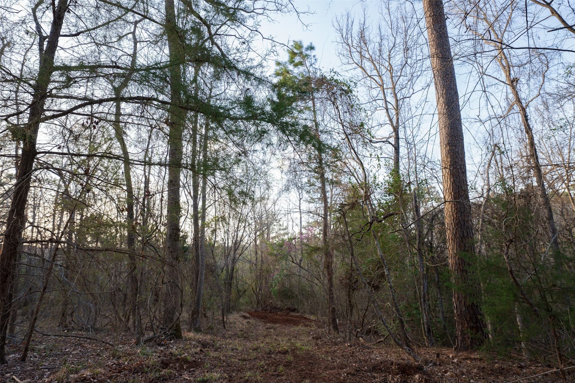 132 acres in Cherokee County - photo 37