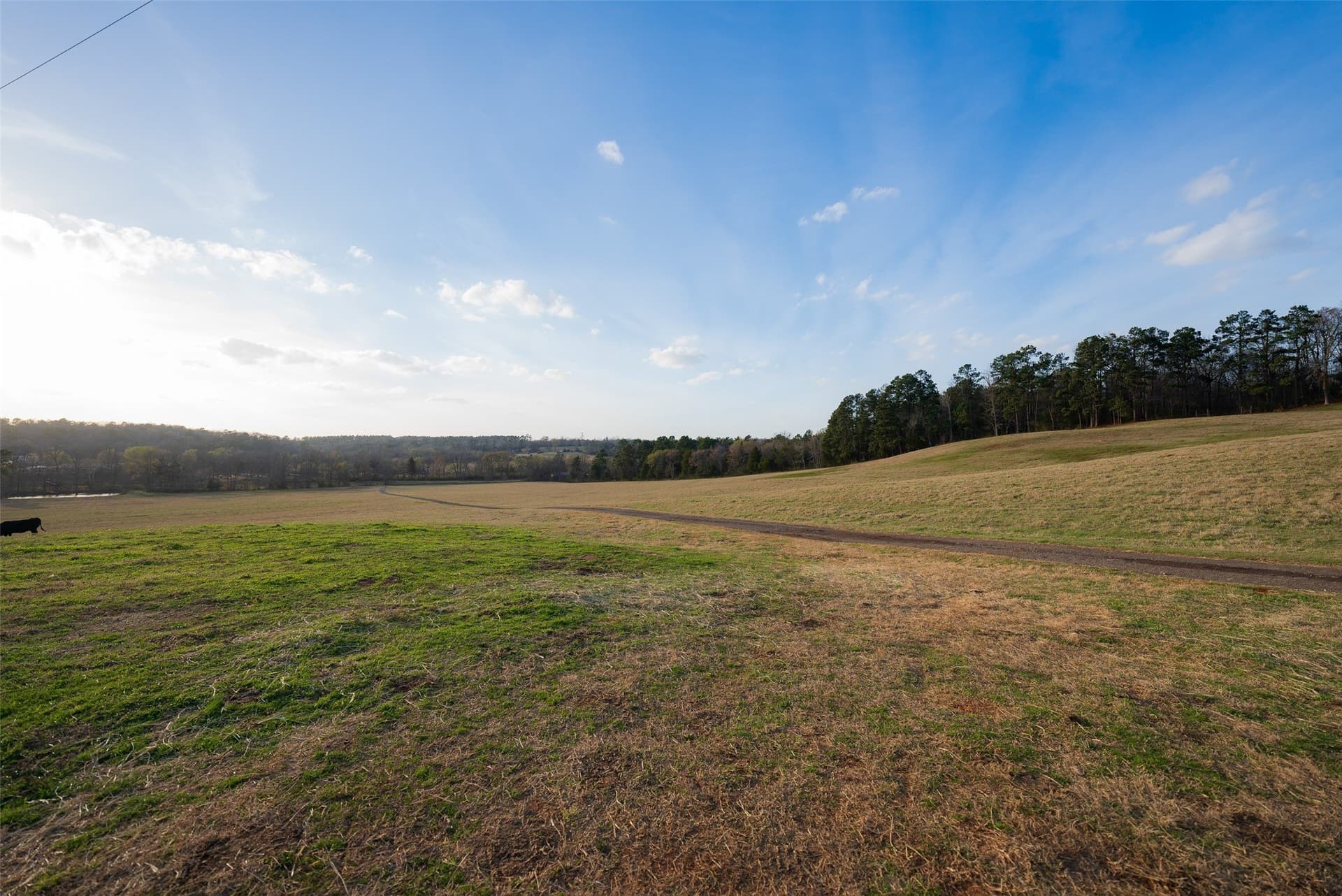 132 acres in Cherokee County - photo 25