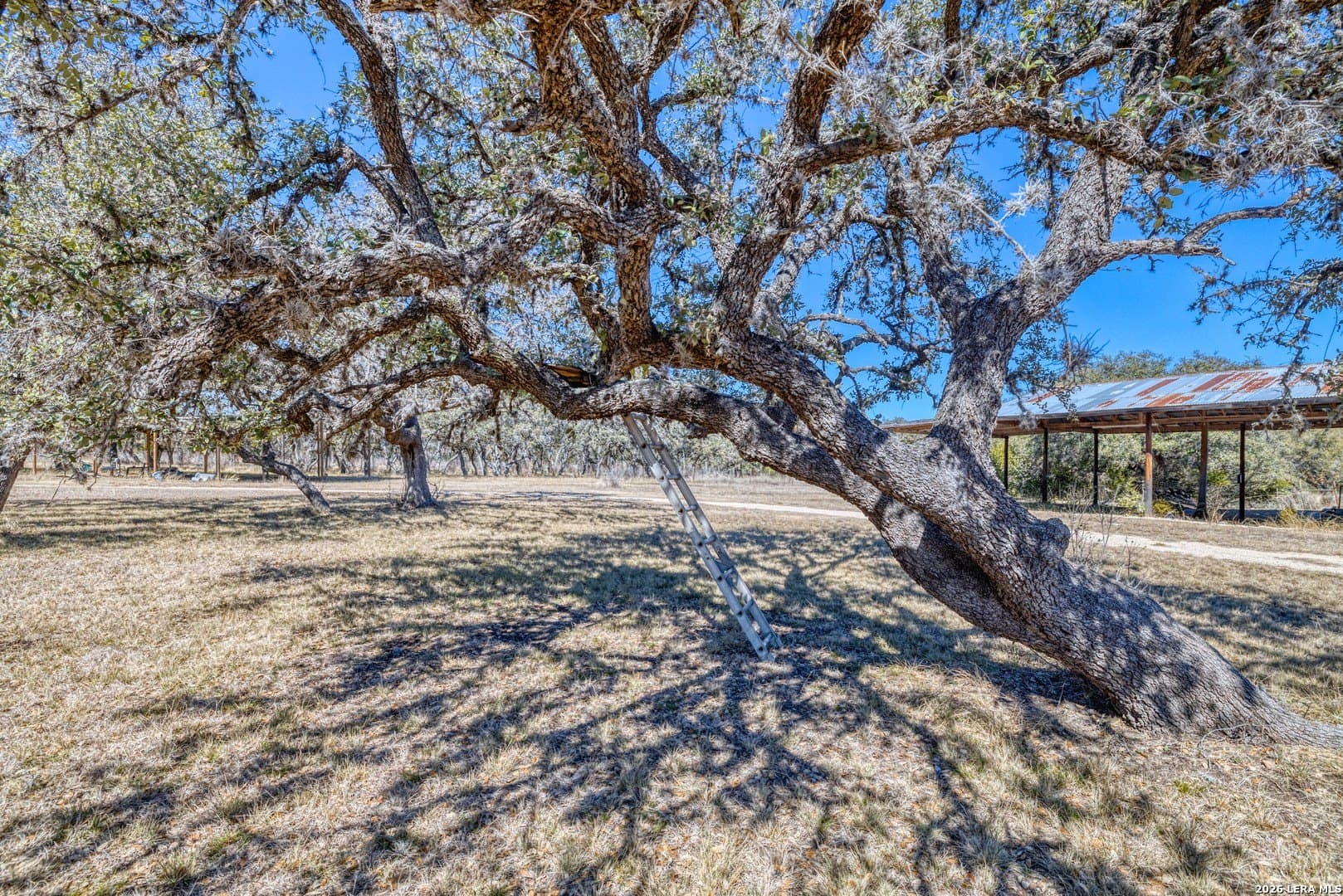 16 acres in Real County - photo 34