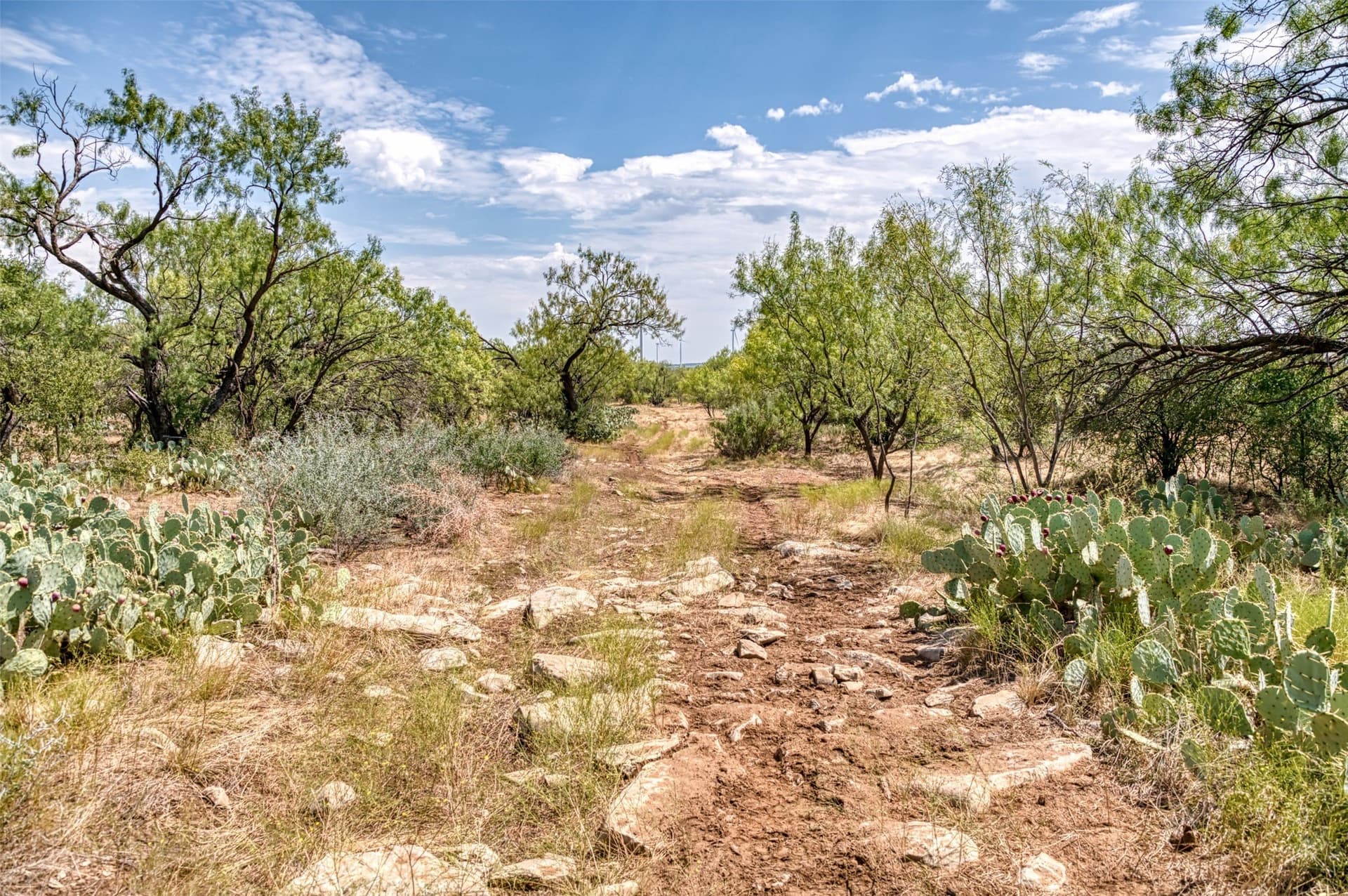 158 acres in Callahan County - photo 6