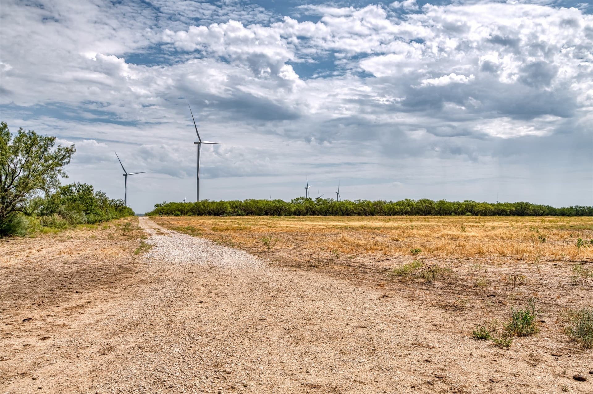 158 acres in Callahan County - photo 31