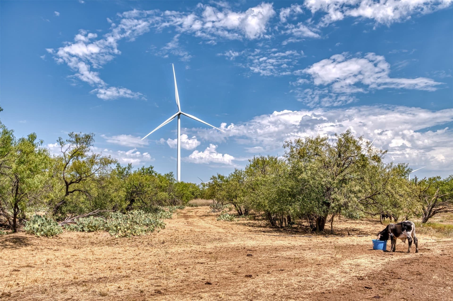 158 acres in Callahan County - photo 23