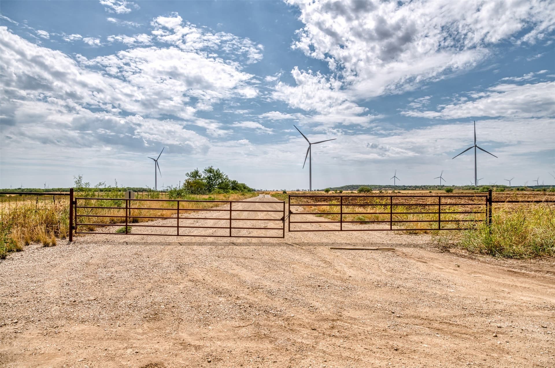 158 acres in Callahan County - photo 8