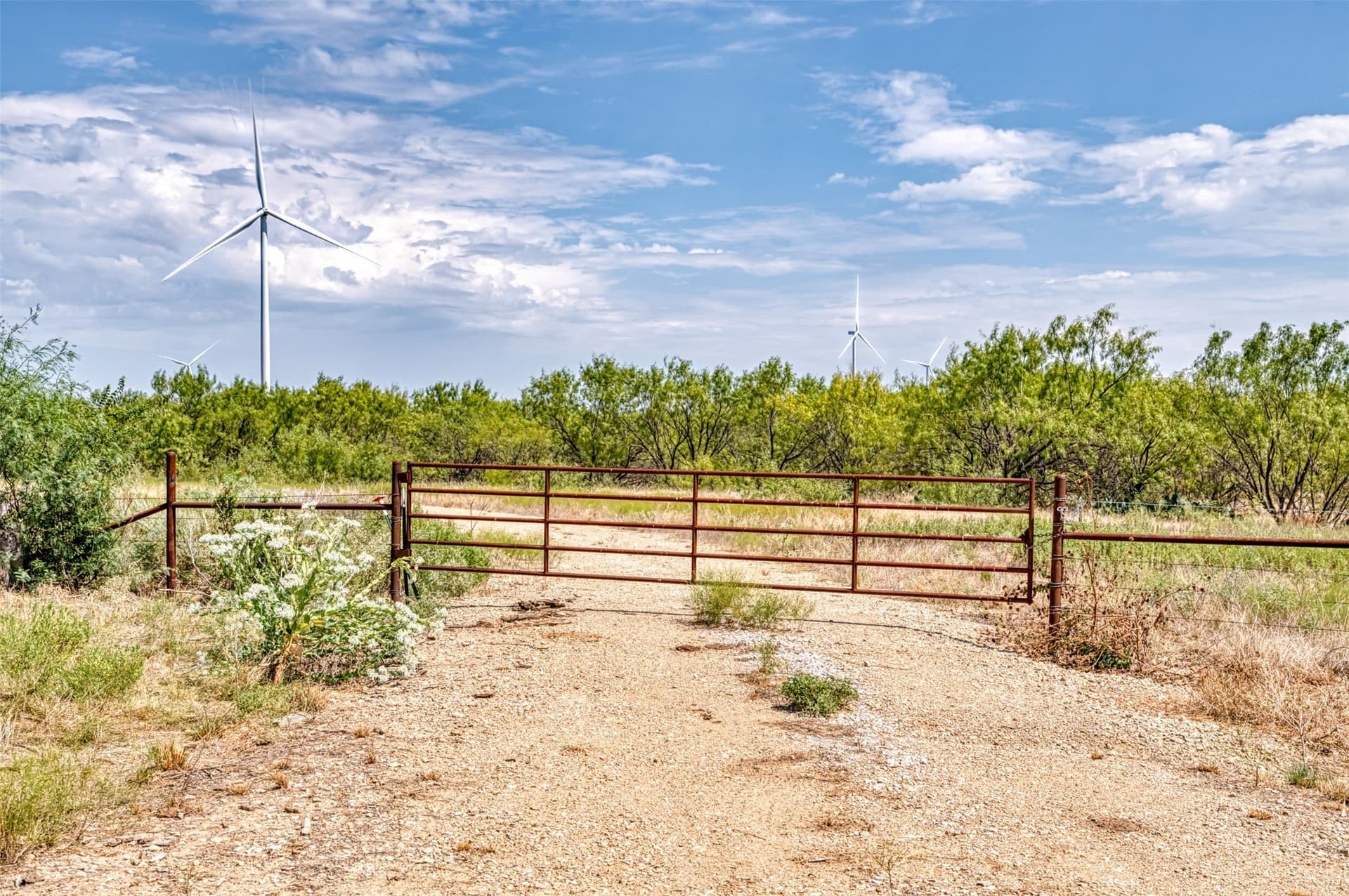 158 acres in Callahan County - photo 15