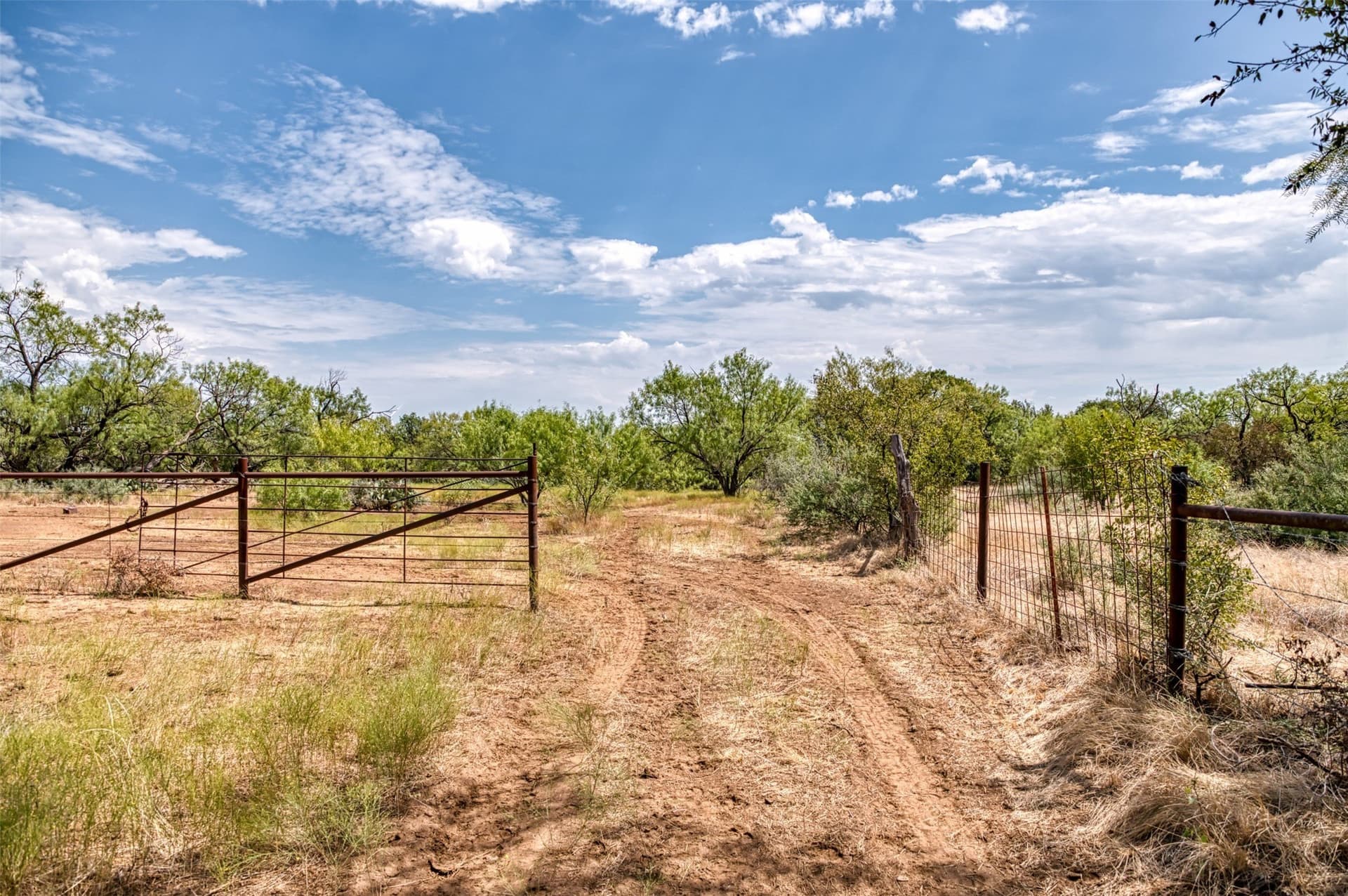 158 acres in Callahan County - photo 38