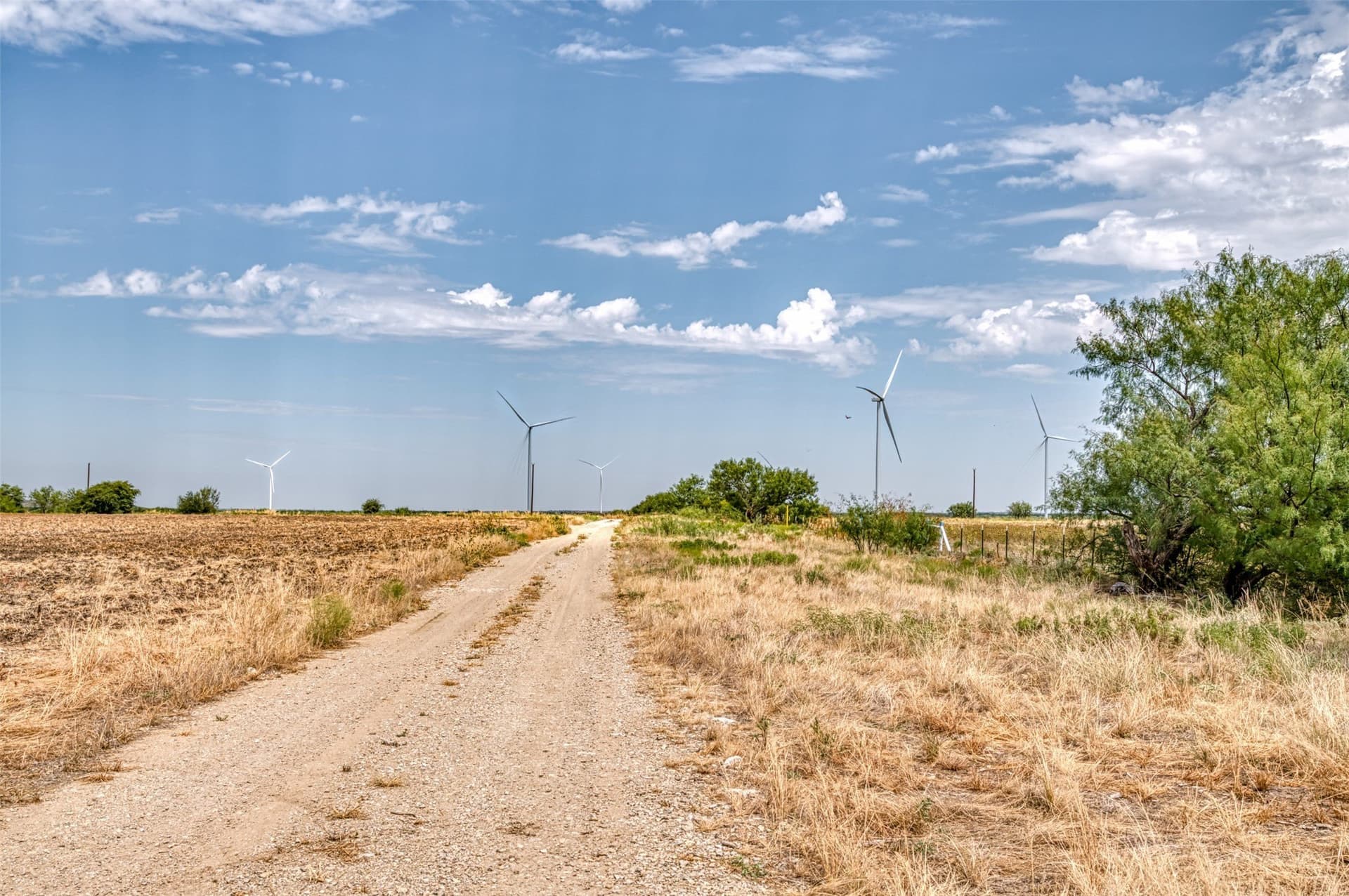 158 acres in Callahan County - photo 19