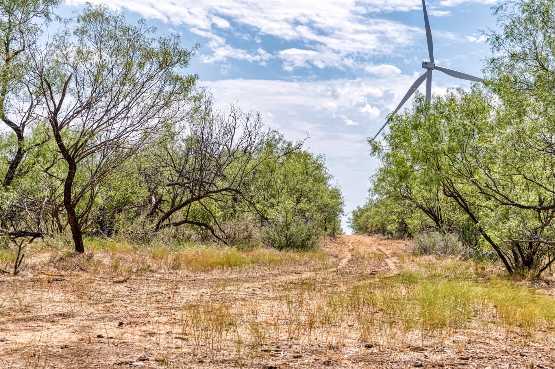 158 acres in Callahan County - photo 34