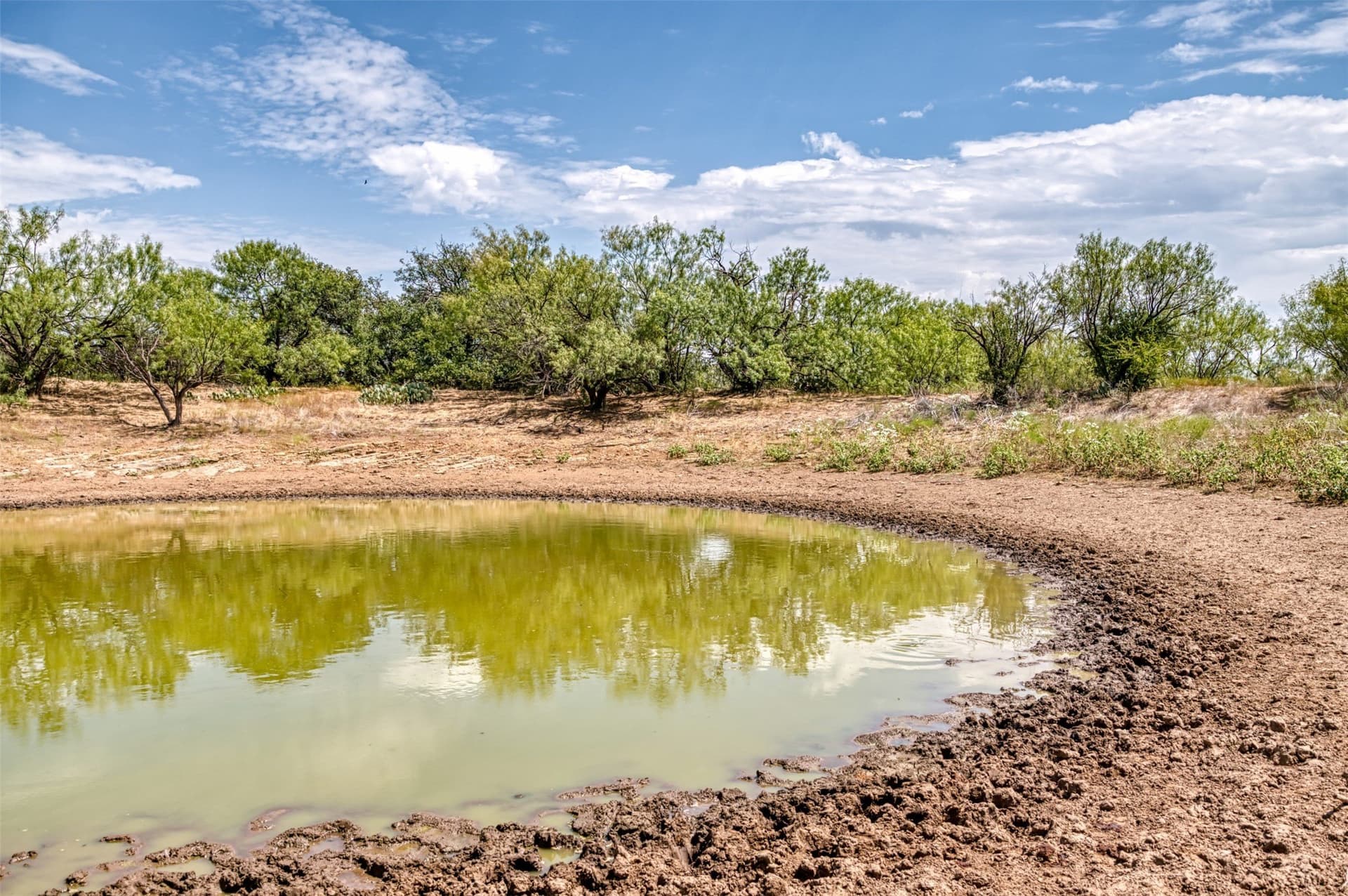 158 acres in Callahan County - photo 4