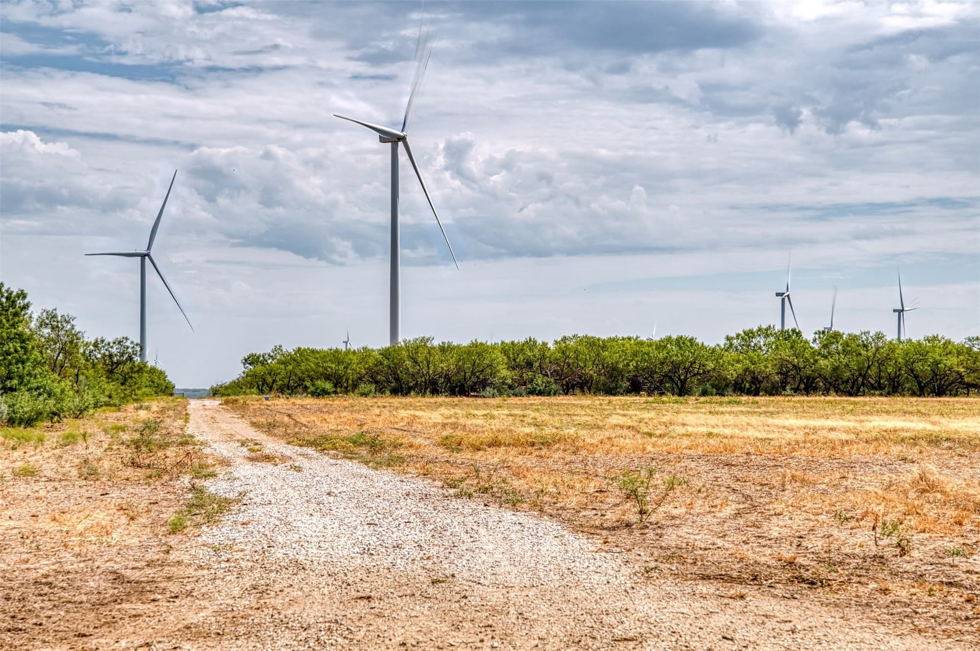 158 acres in Callahan County - photo 27
