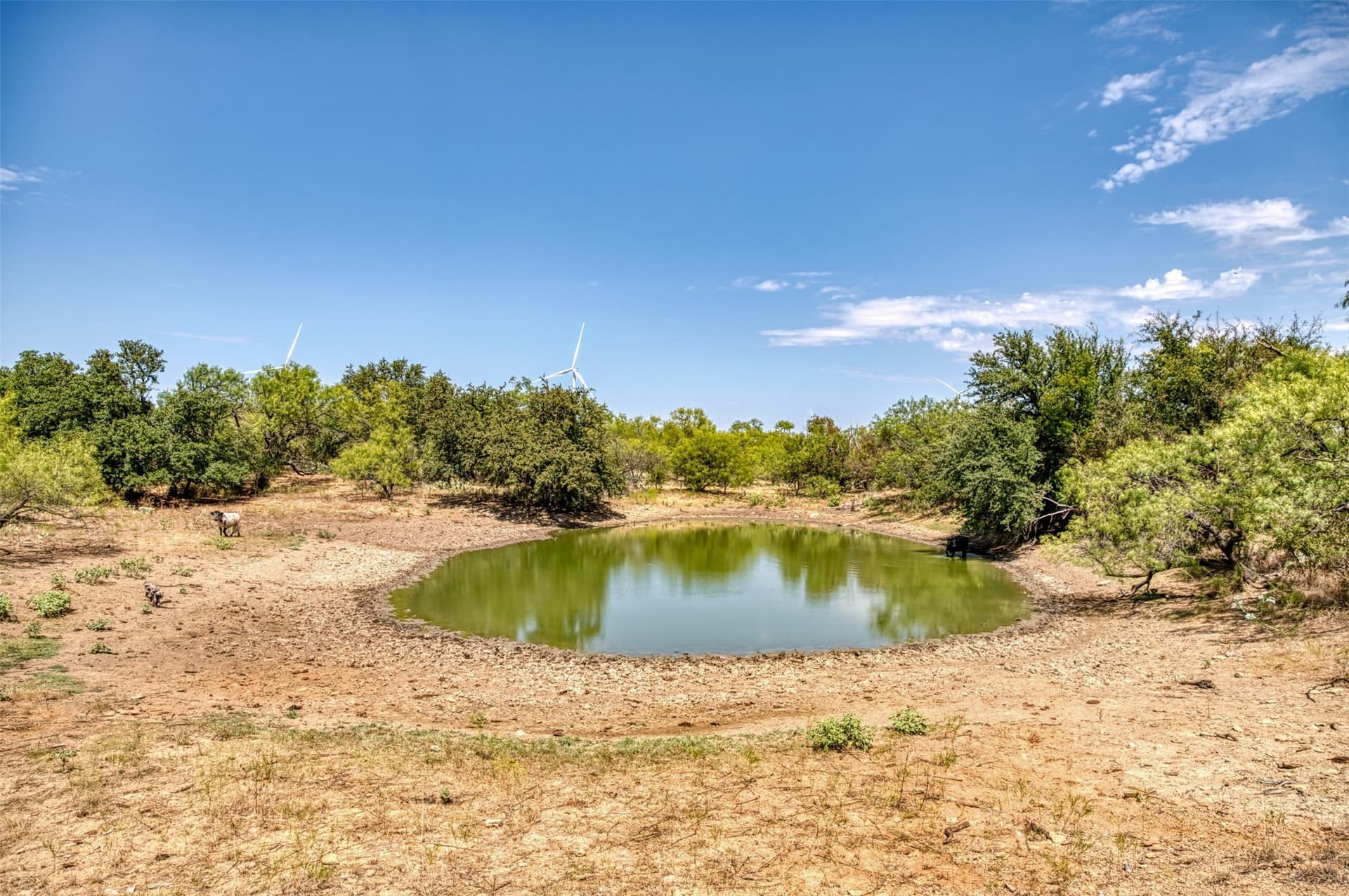 158 acres in Callahan County - photo 18