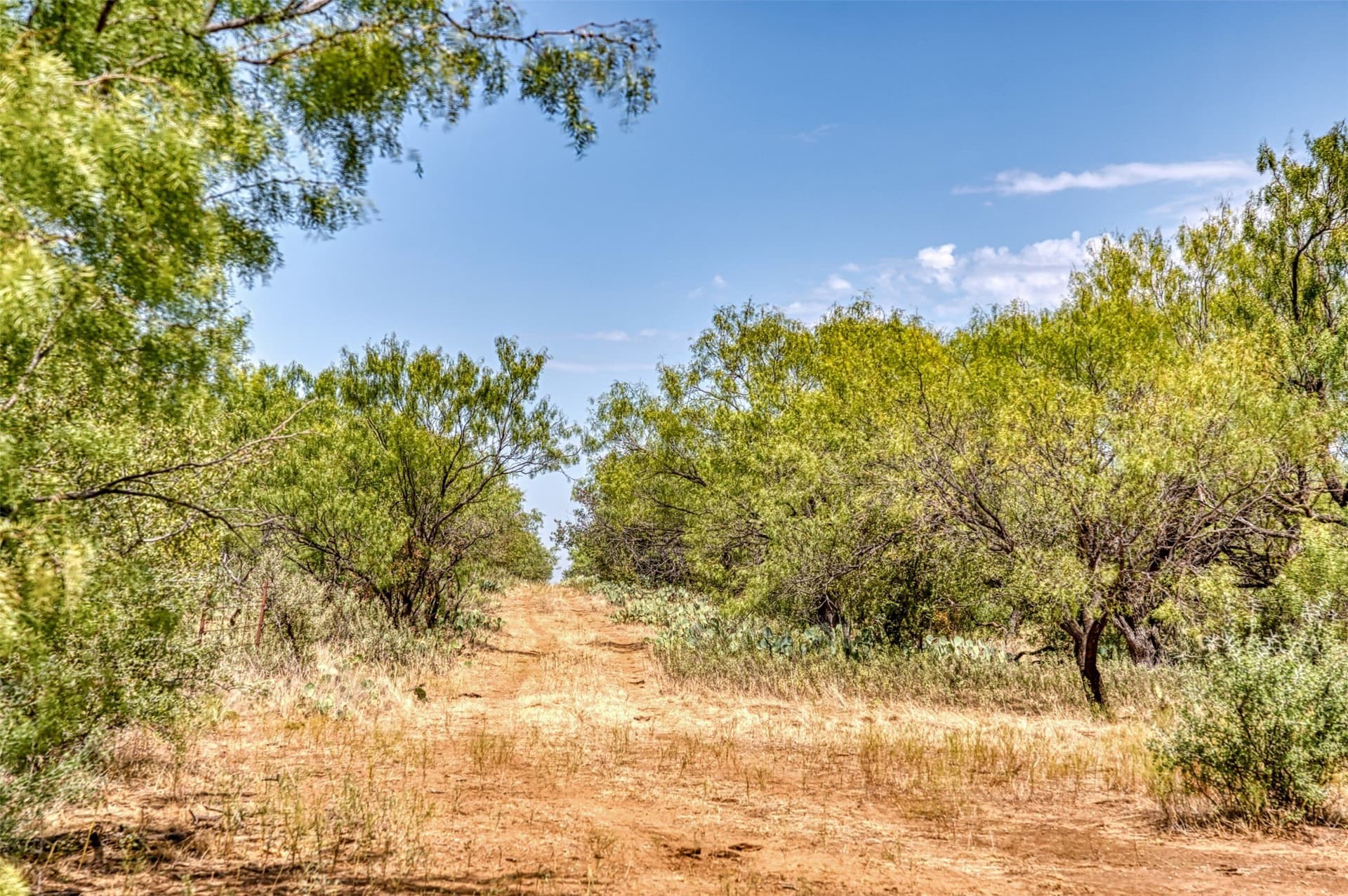 158 acres in Callahan County - photo 7
