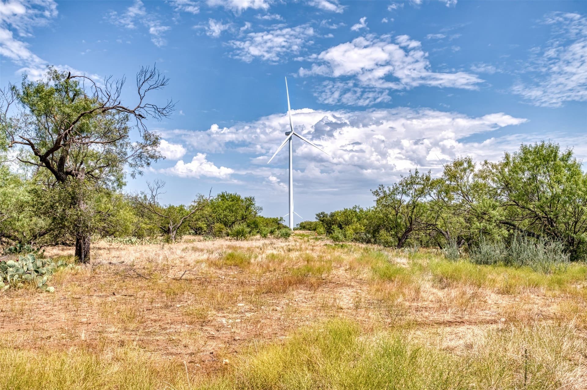 158 acres in Callahan County - photo 25