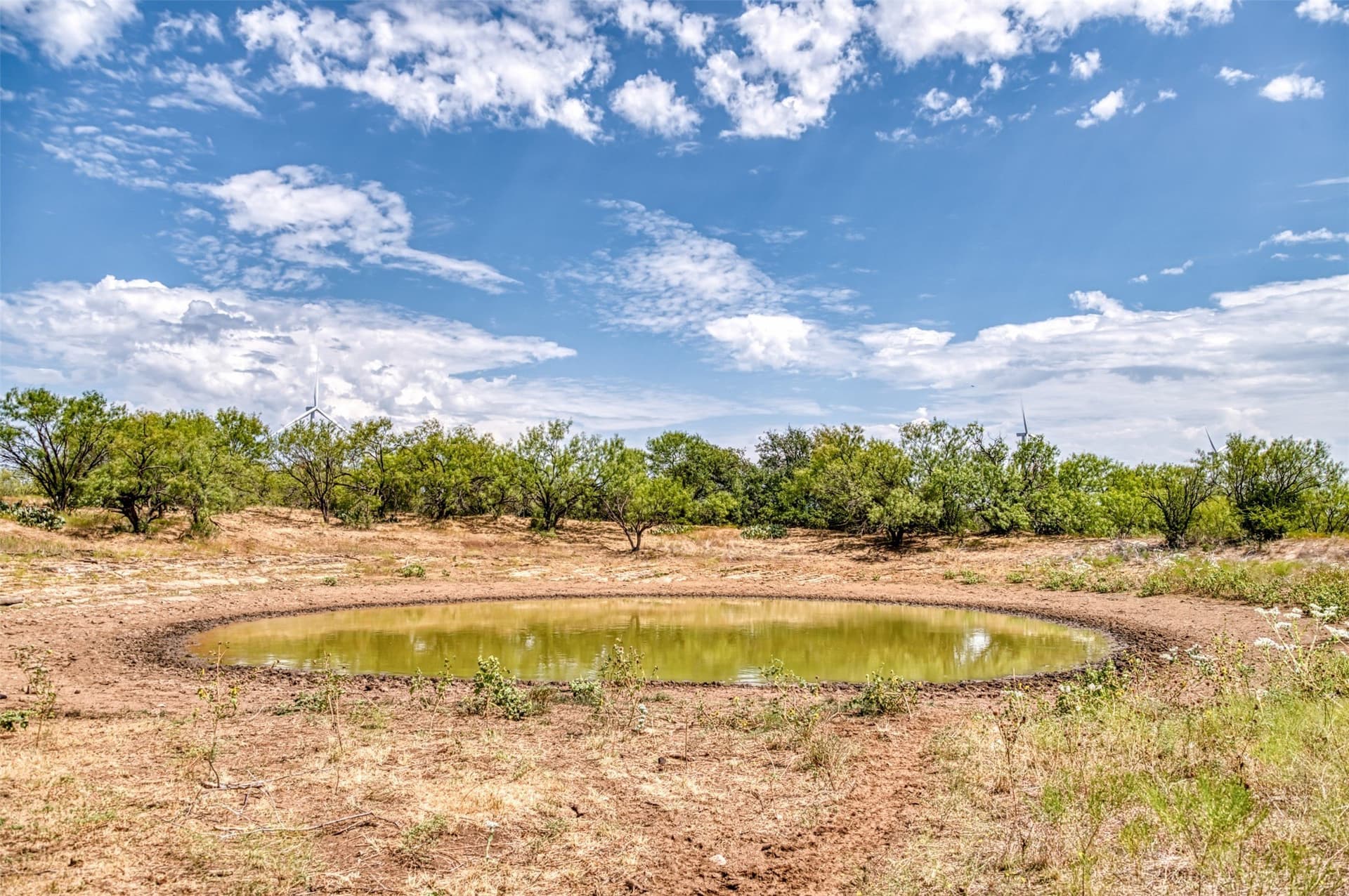 158 acres in Callahan County - photo 24