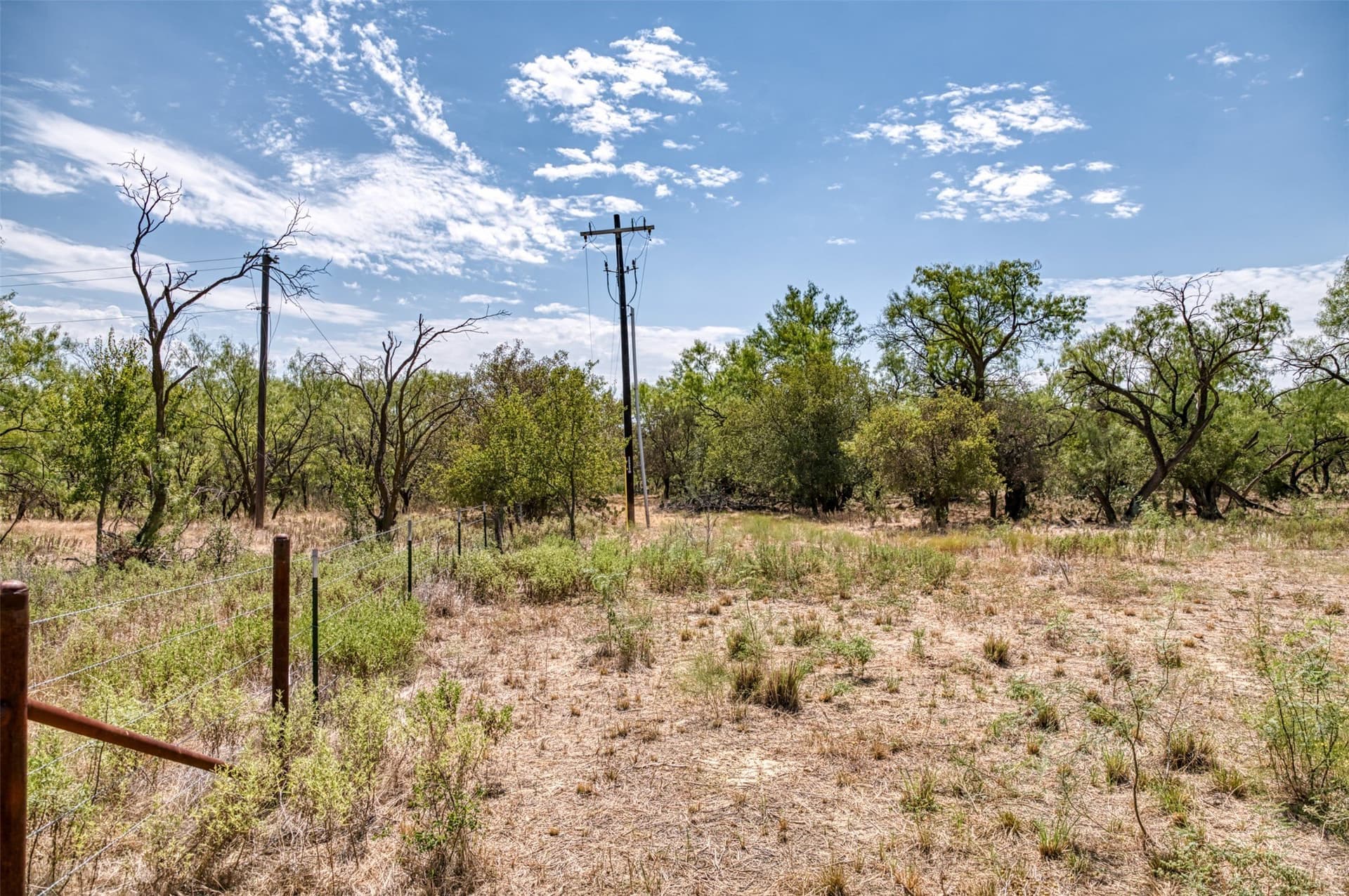 158 acres in Callahan County - photo 17