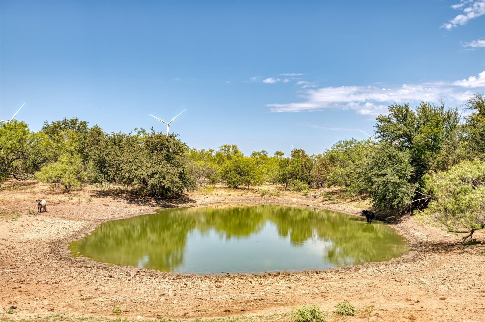 158 acres in Callahan County - photo 35