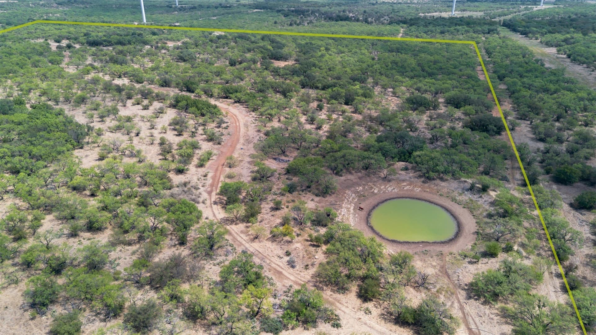 158 acres in Callahan County - photo 13