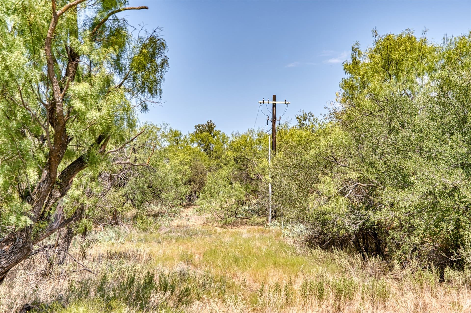 158 acres in Callahan County - photo 16