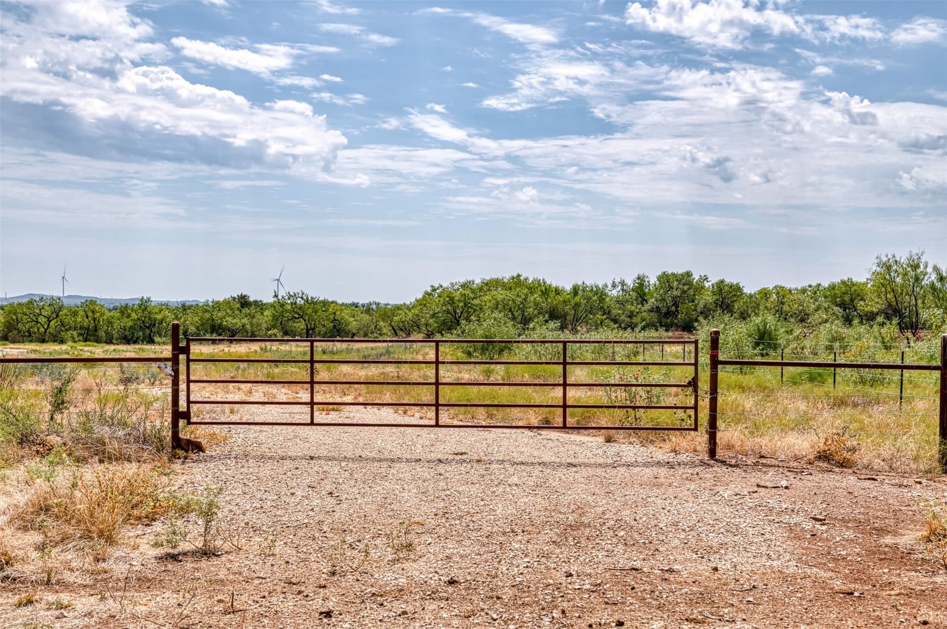 158 acres in Callahan County - photo 40